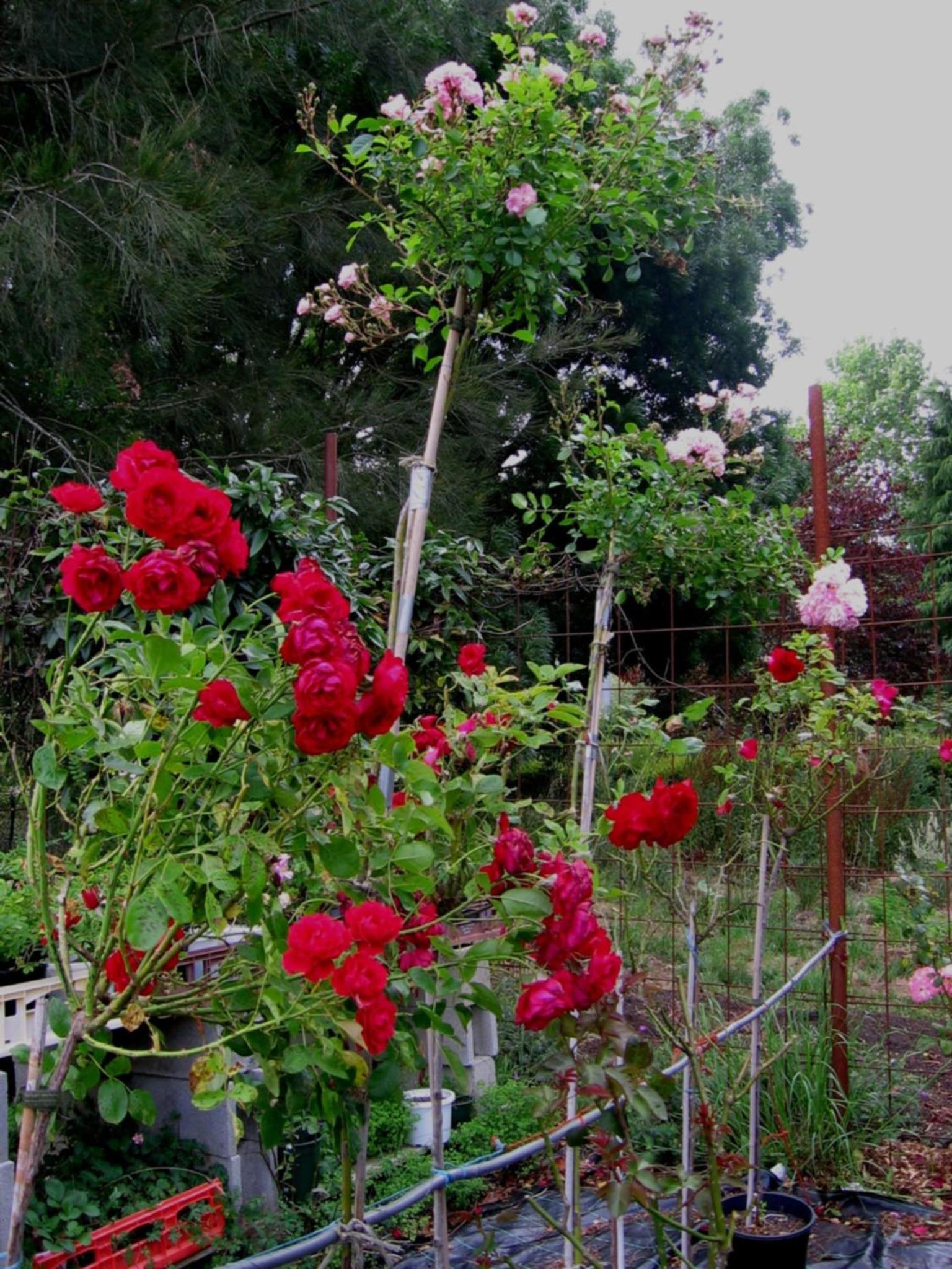 Bowral Road Art Gallery Bed and Breakfast