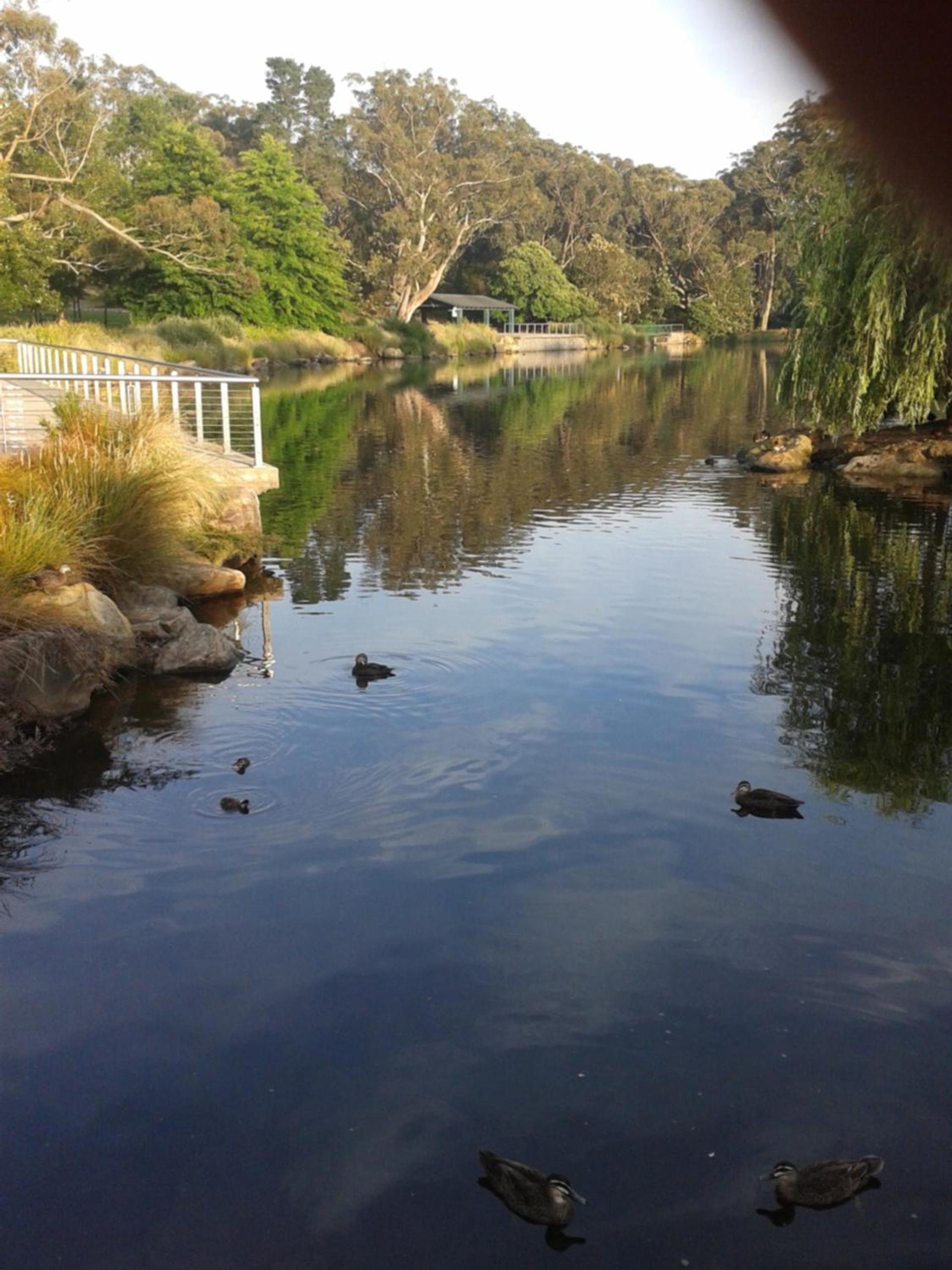 Bowral Road Art Gallery Bed and Breakfast