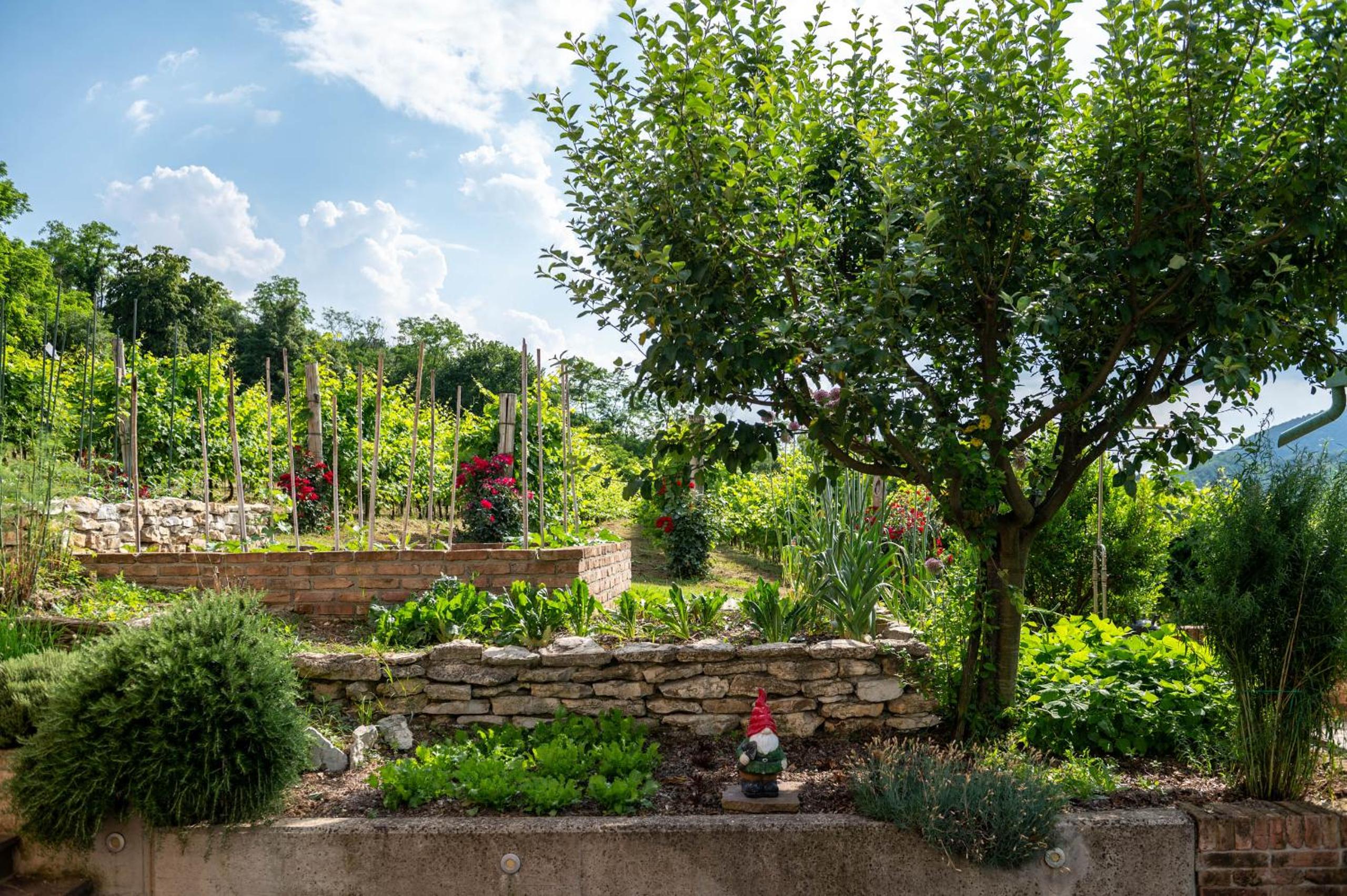 Agriturismo Terre Bianche