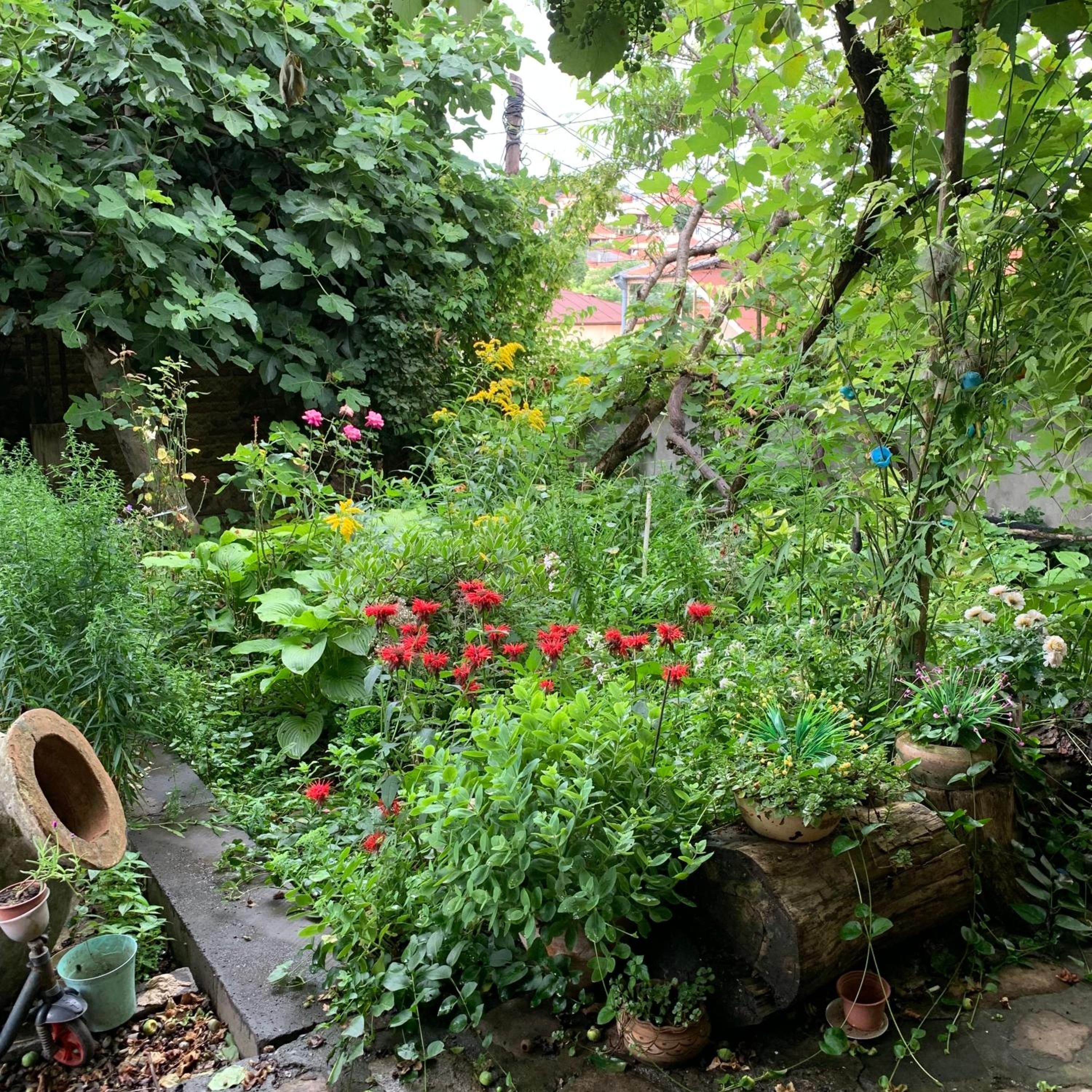 Photo 25