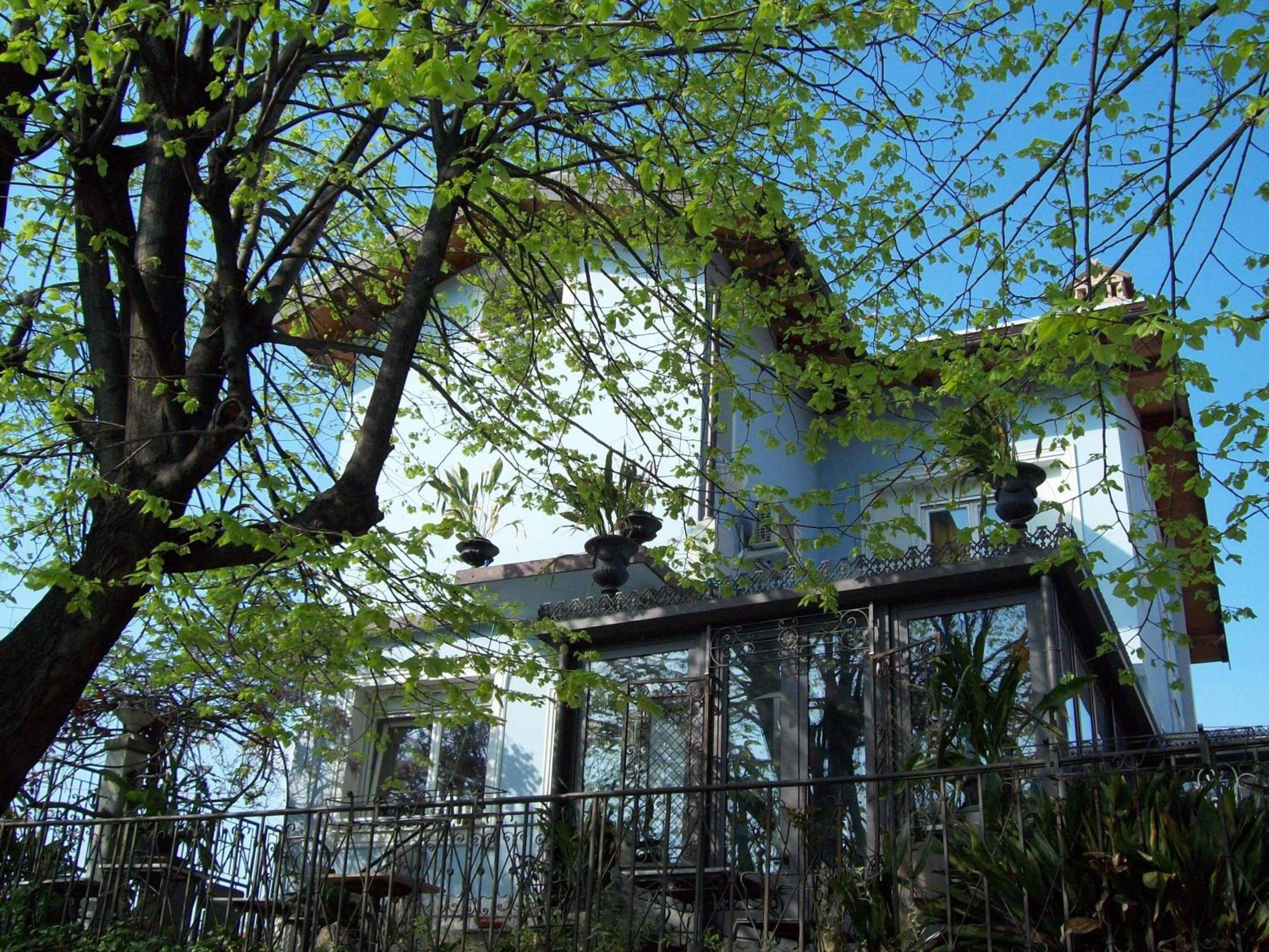 Villa Fiorita