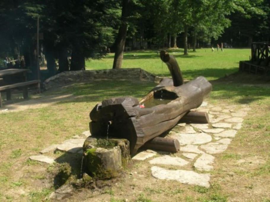 Photo 43