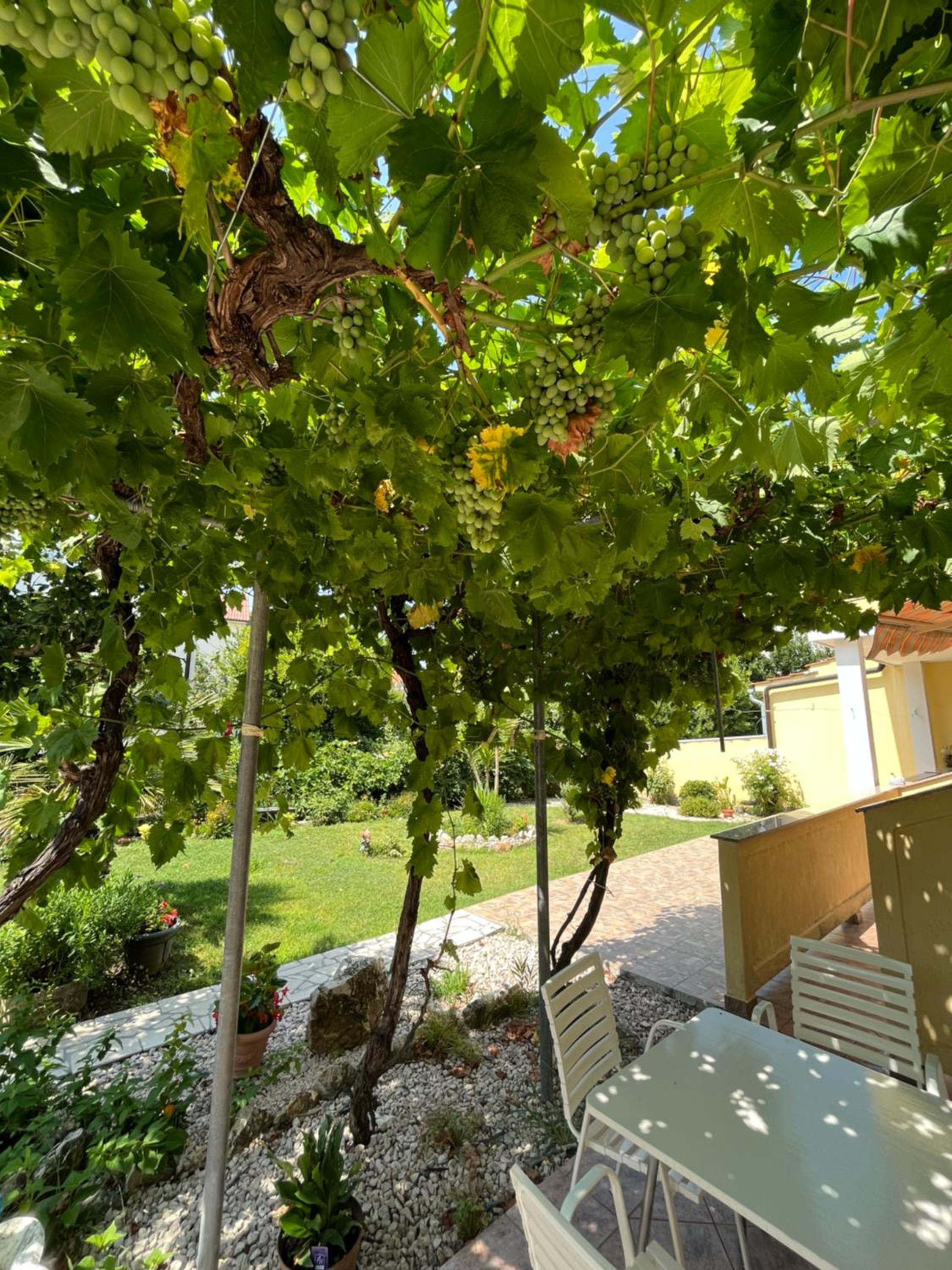 Apartments and Rooms Markovski
