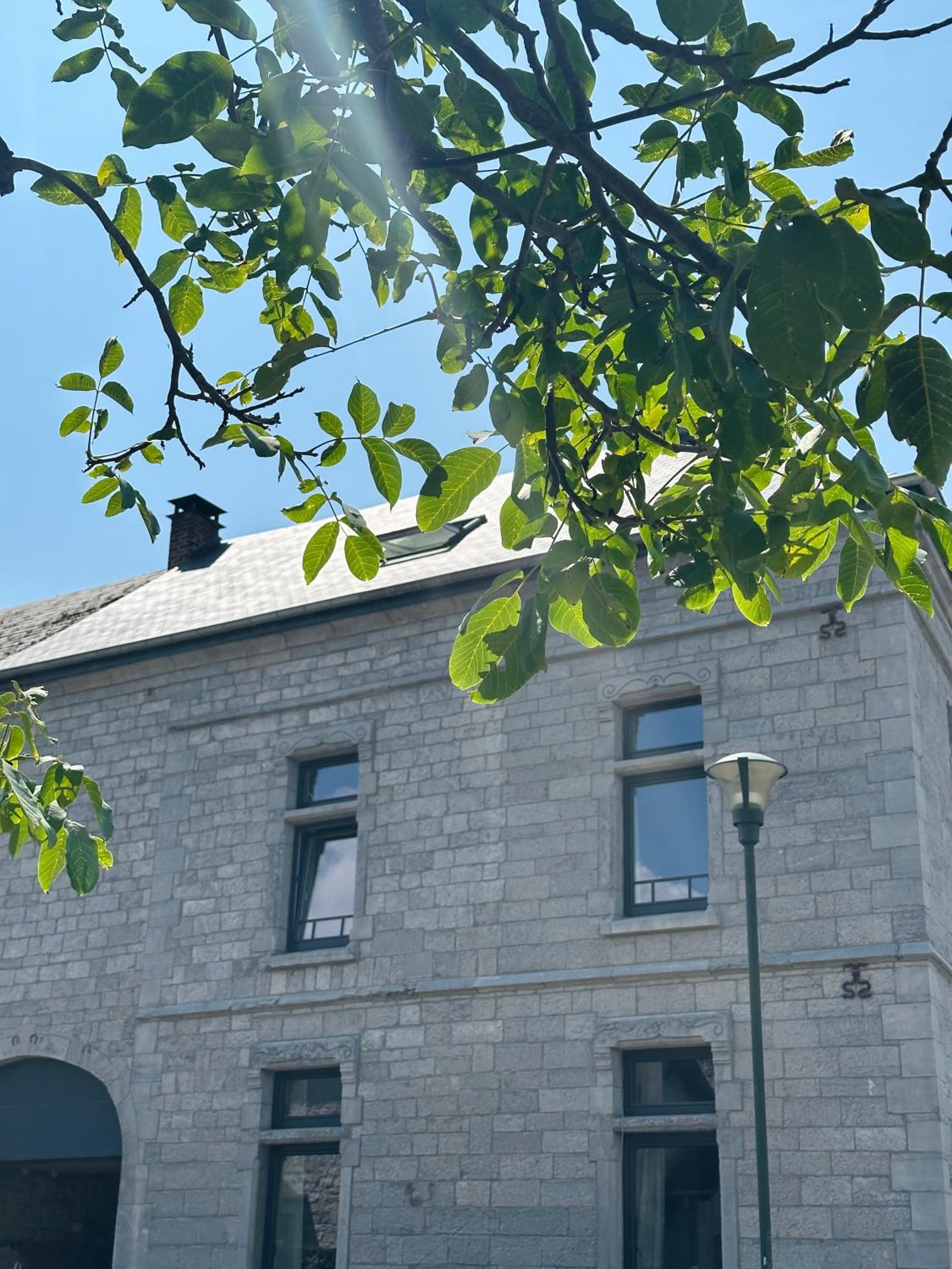 Maison Comtale