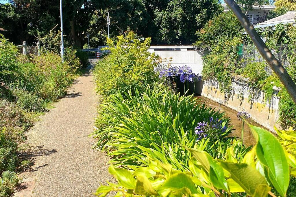 The Rondebosch