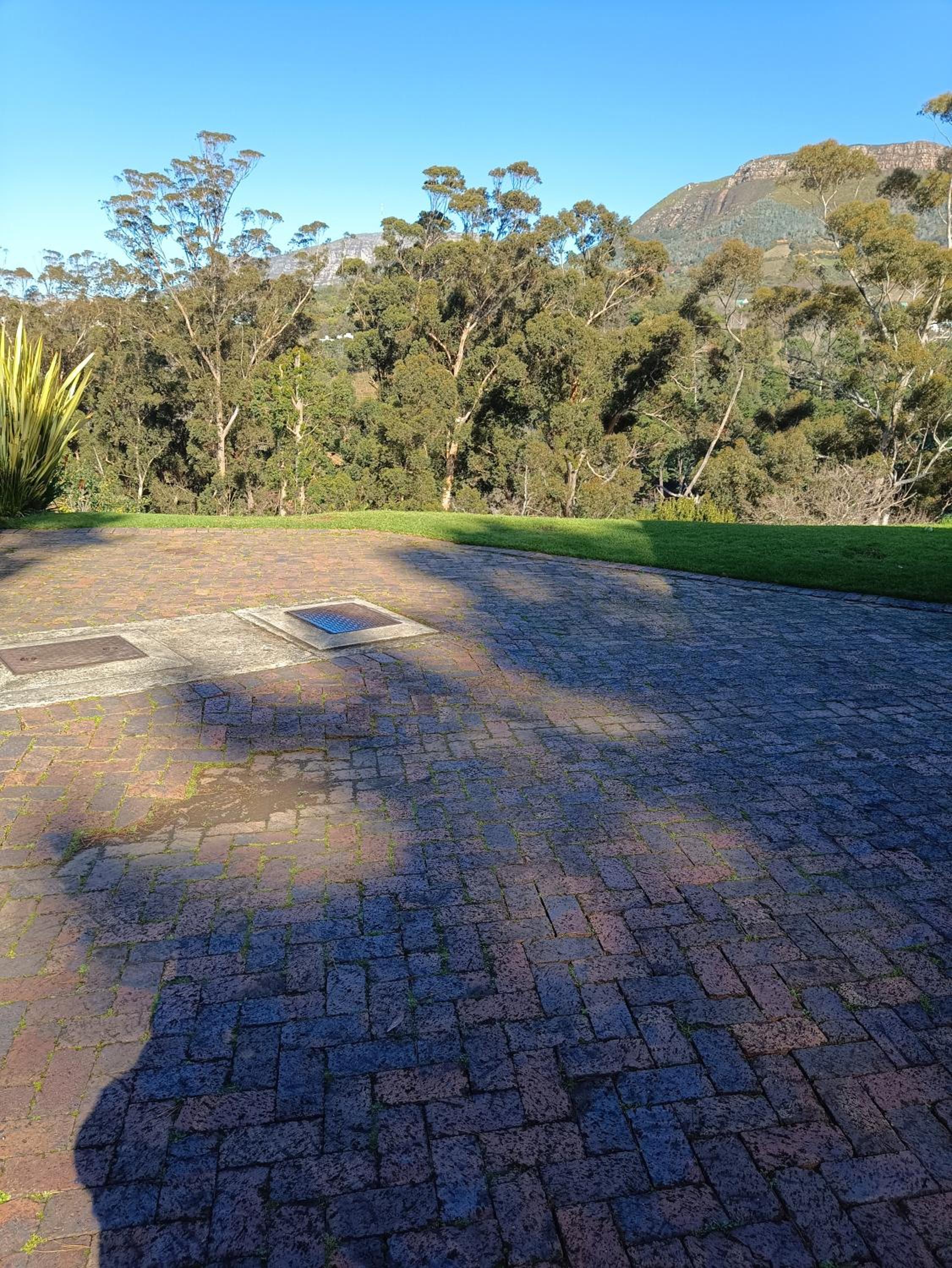 Photo 29