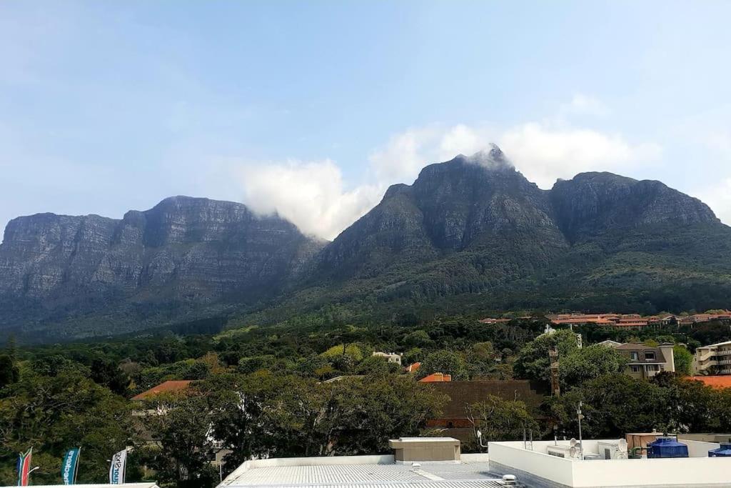 The Rondebosch