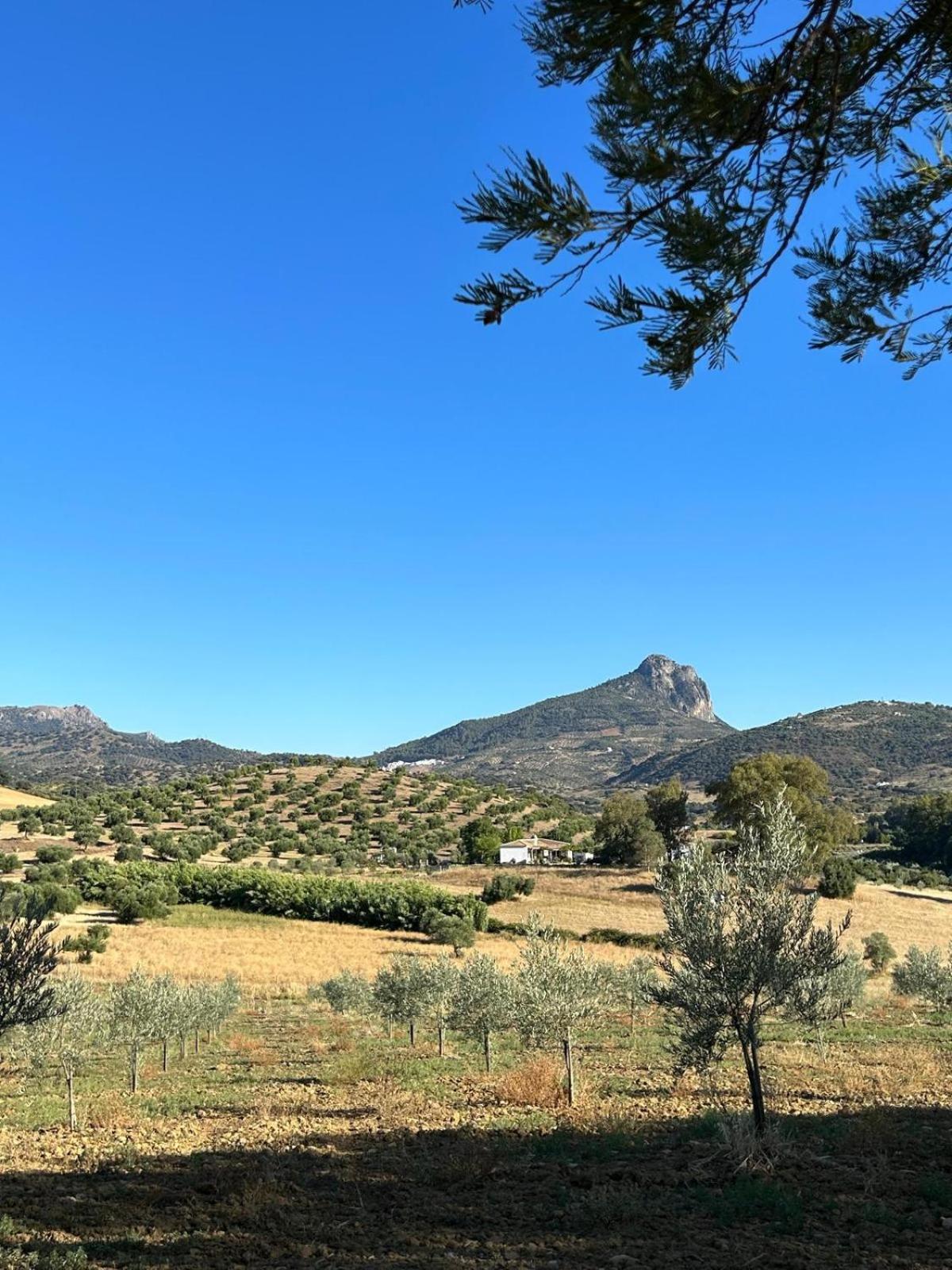 Rancho Burruelo