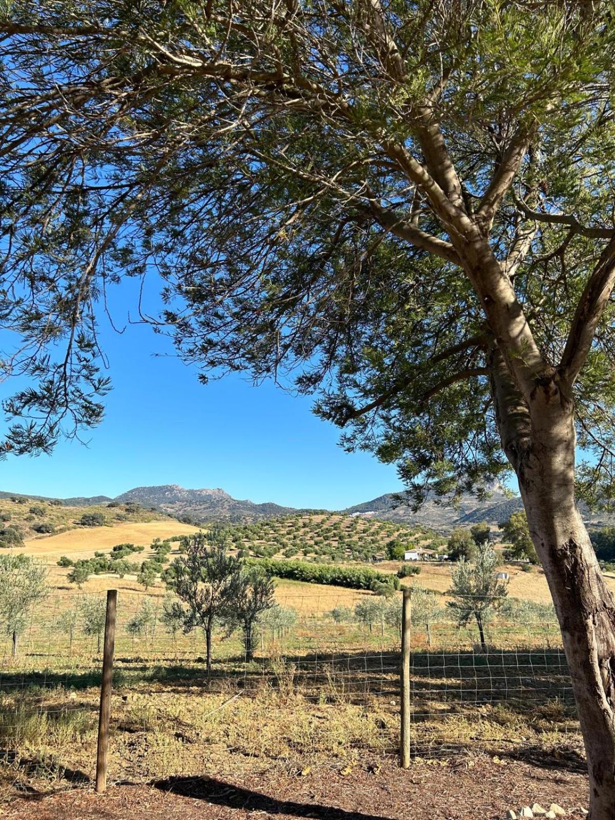 Rancho Burruelo