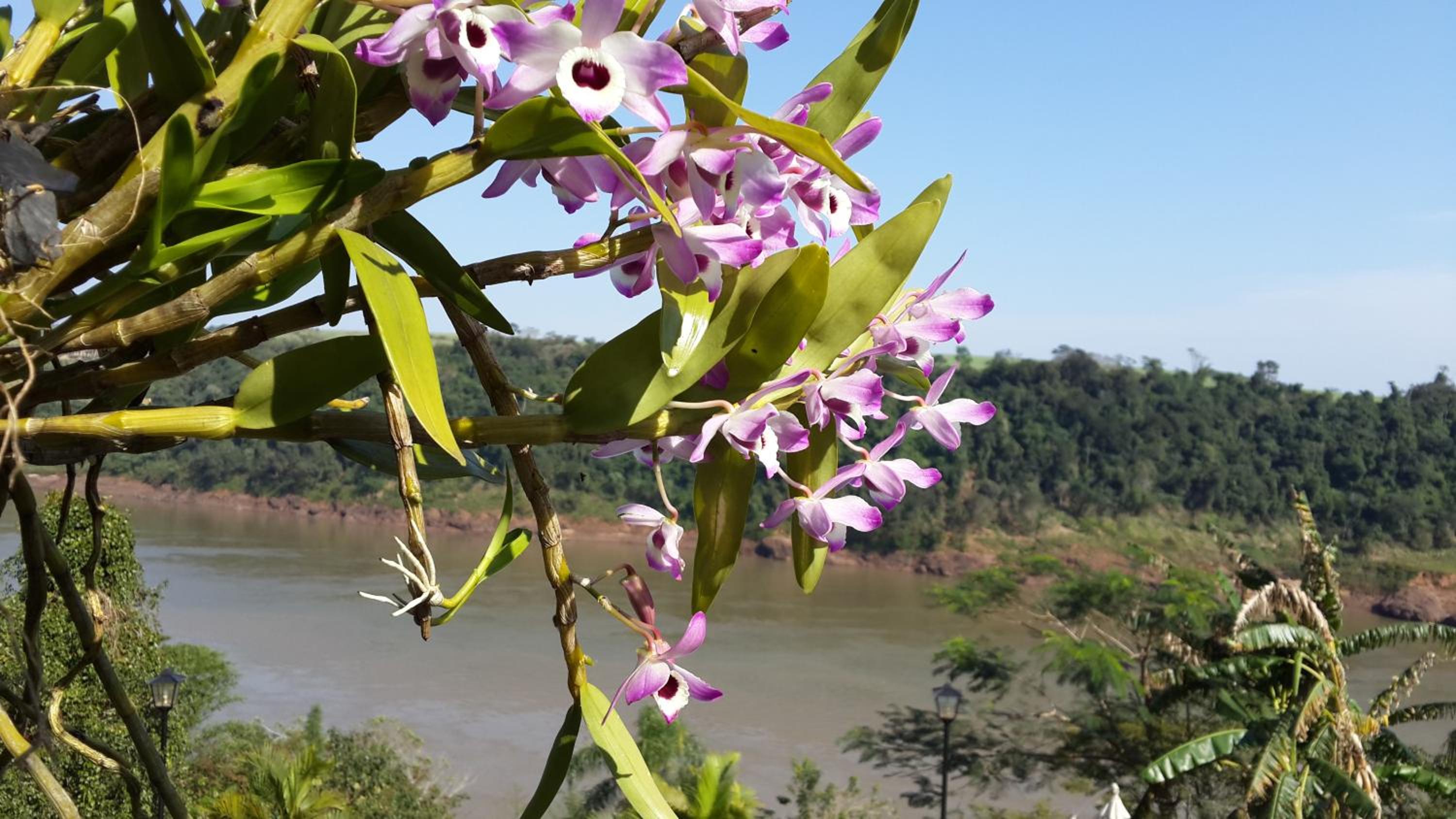 Costa del Sol Iguazú