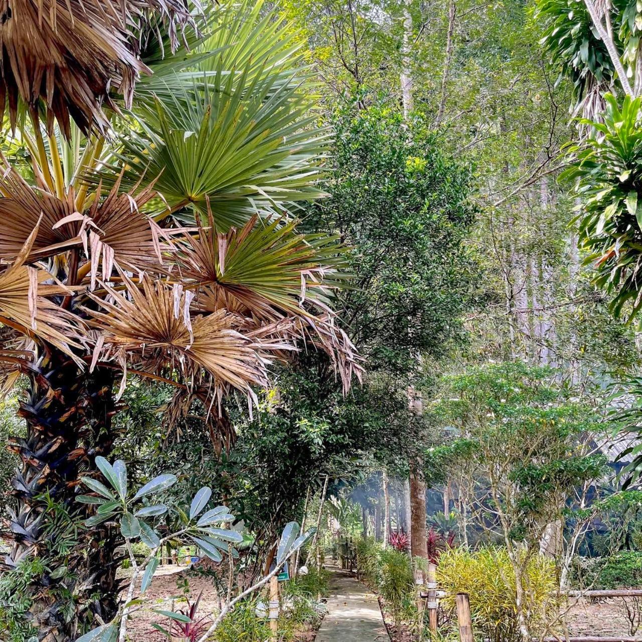 Khao Sok Green Mountain View