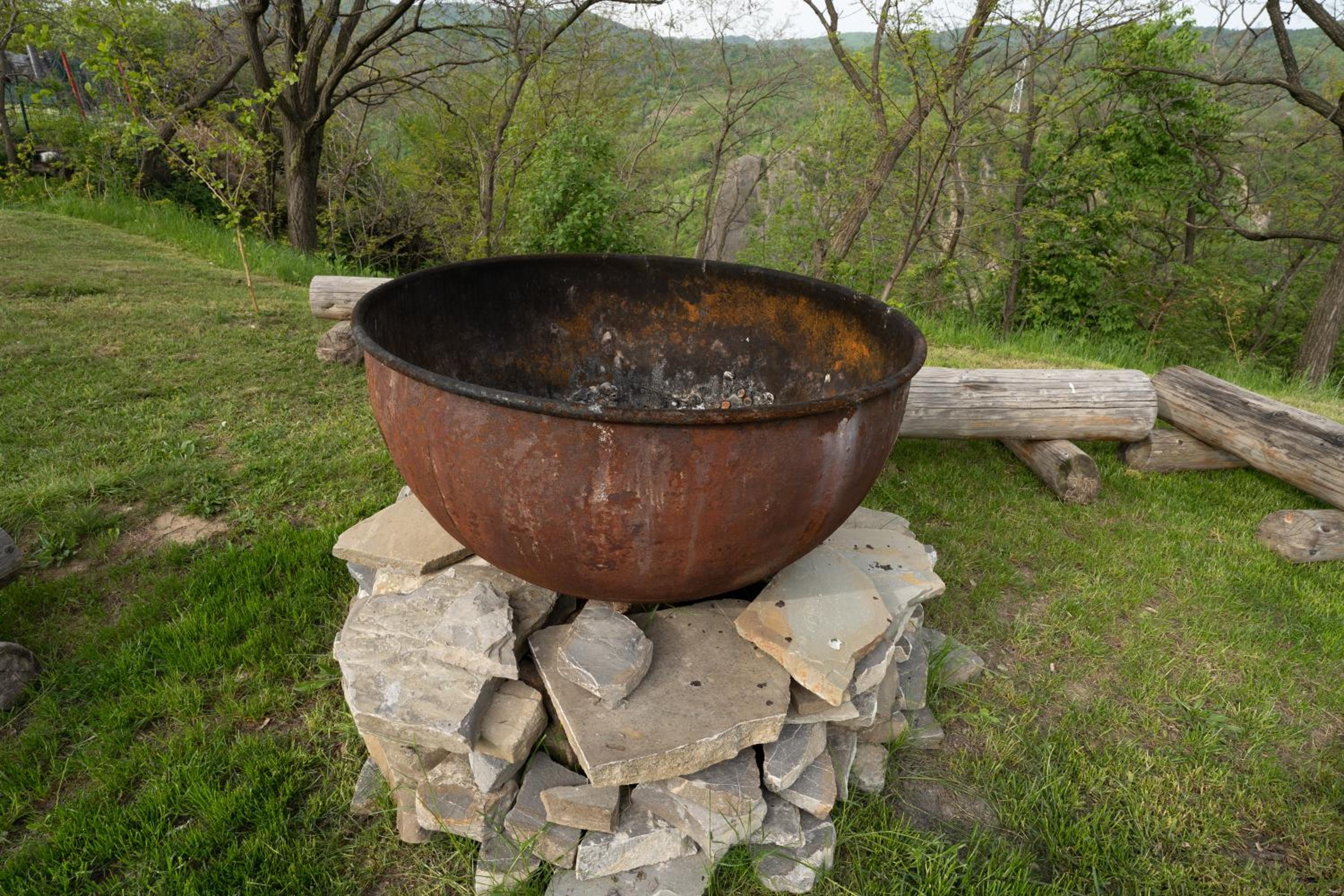 Photo 41