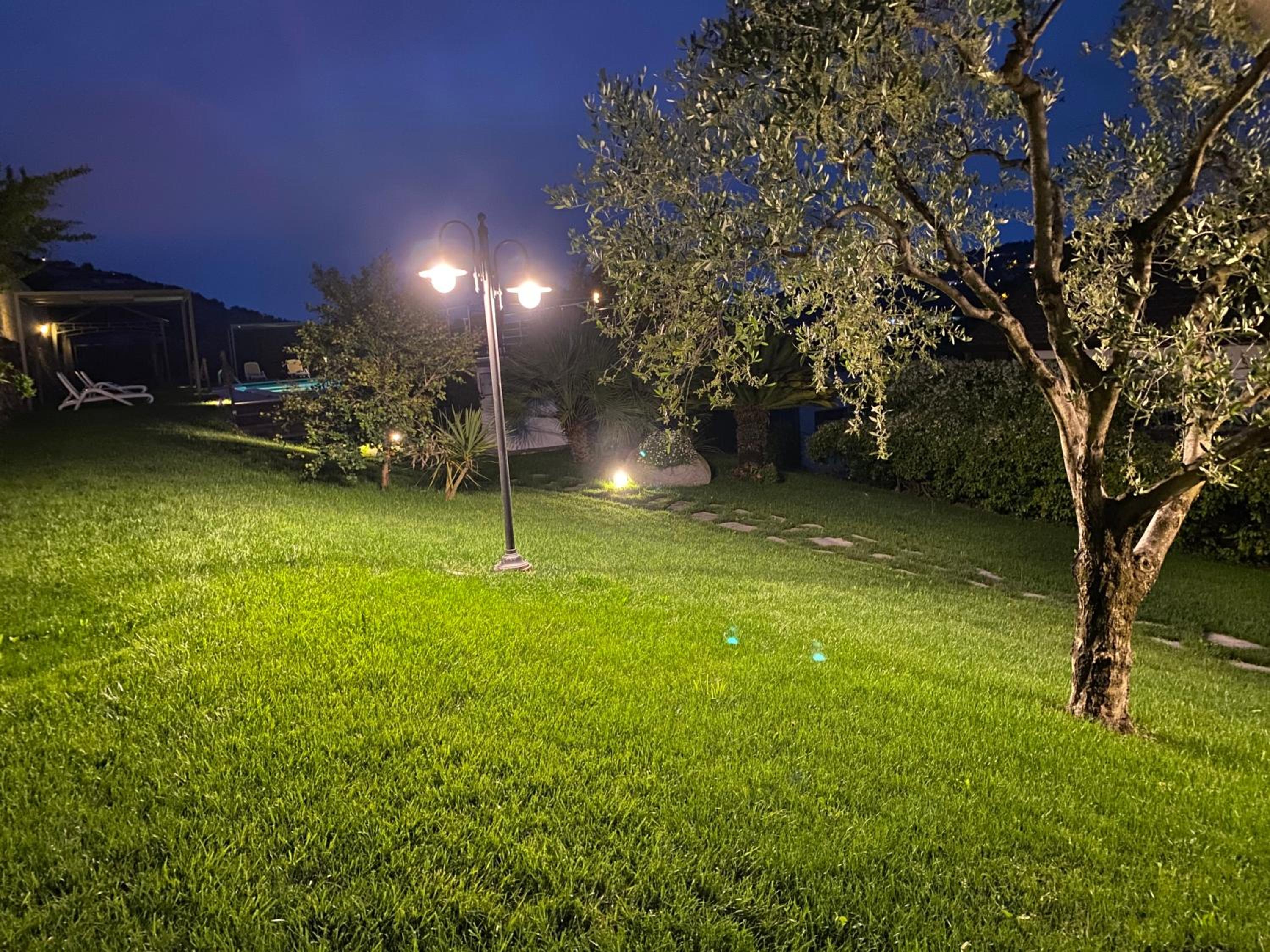 Photo 18