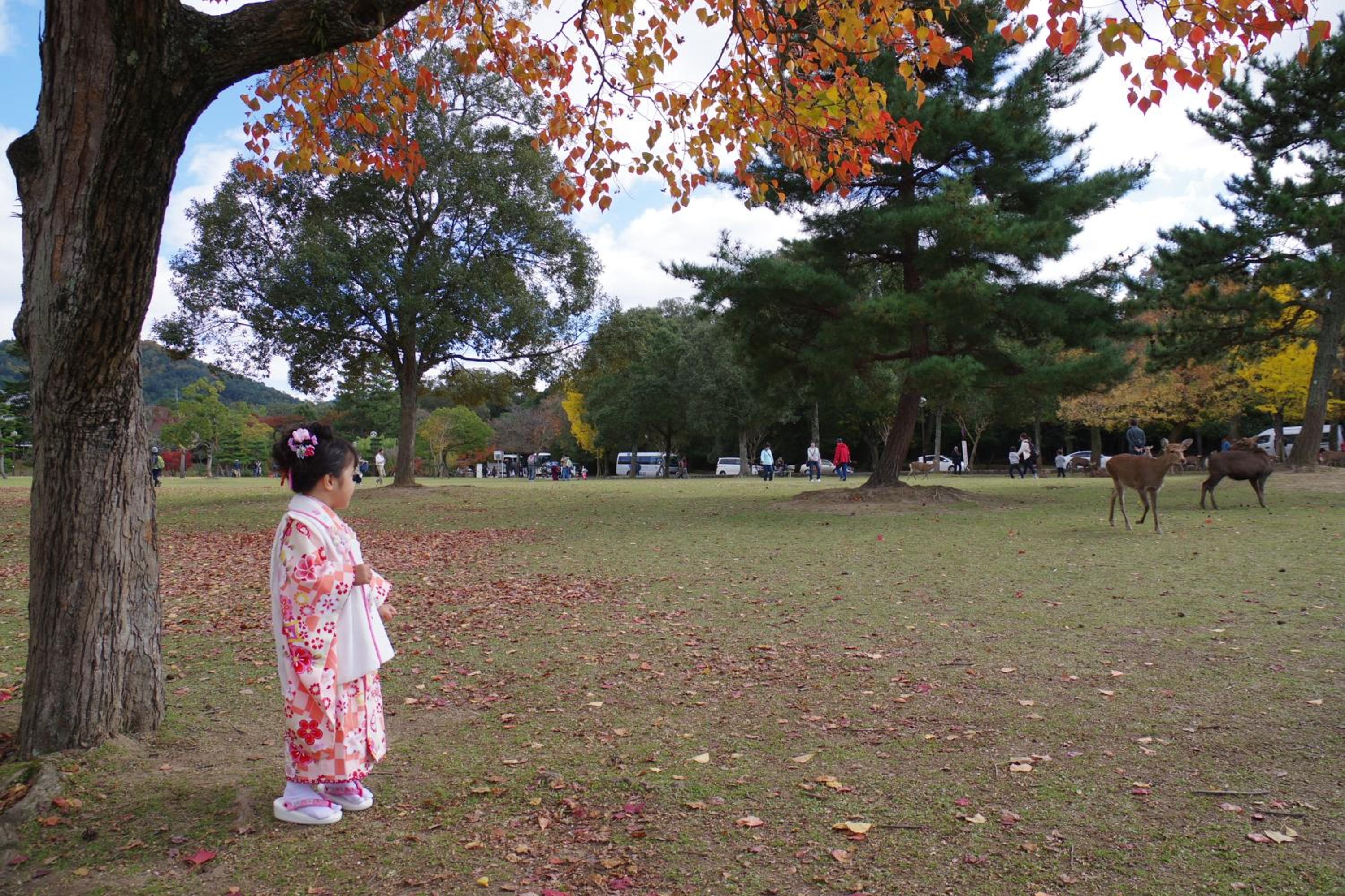 Chikyuutabikazoku Kintetsu-Nara Ekimae