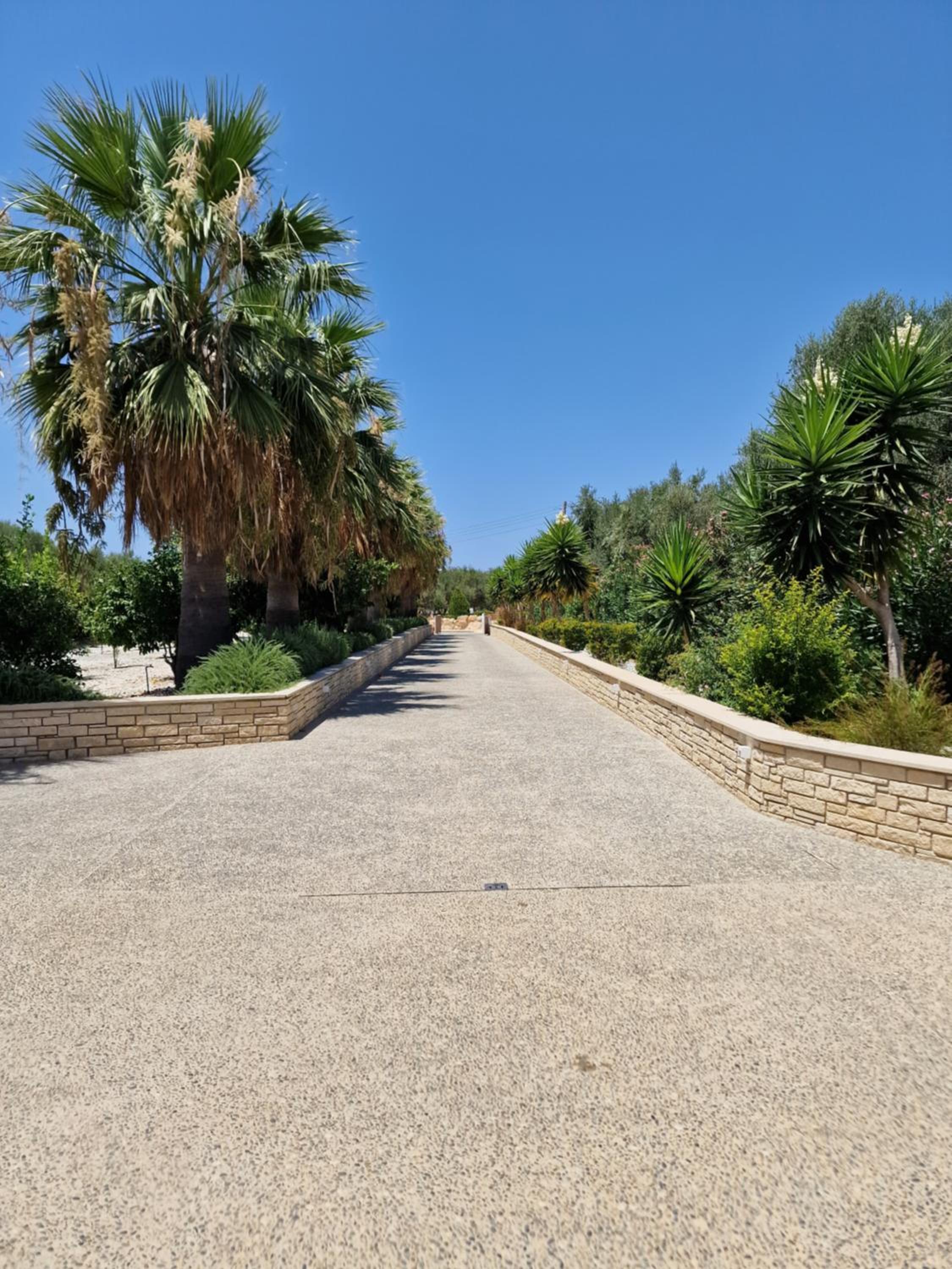 The Family Nest Villa in Cyprus view 2