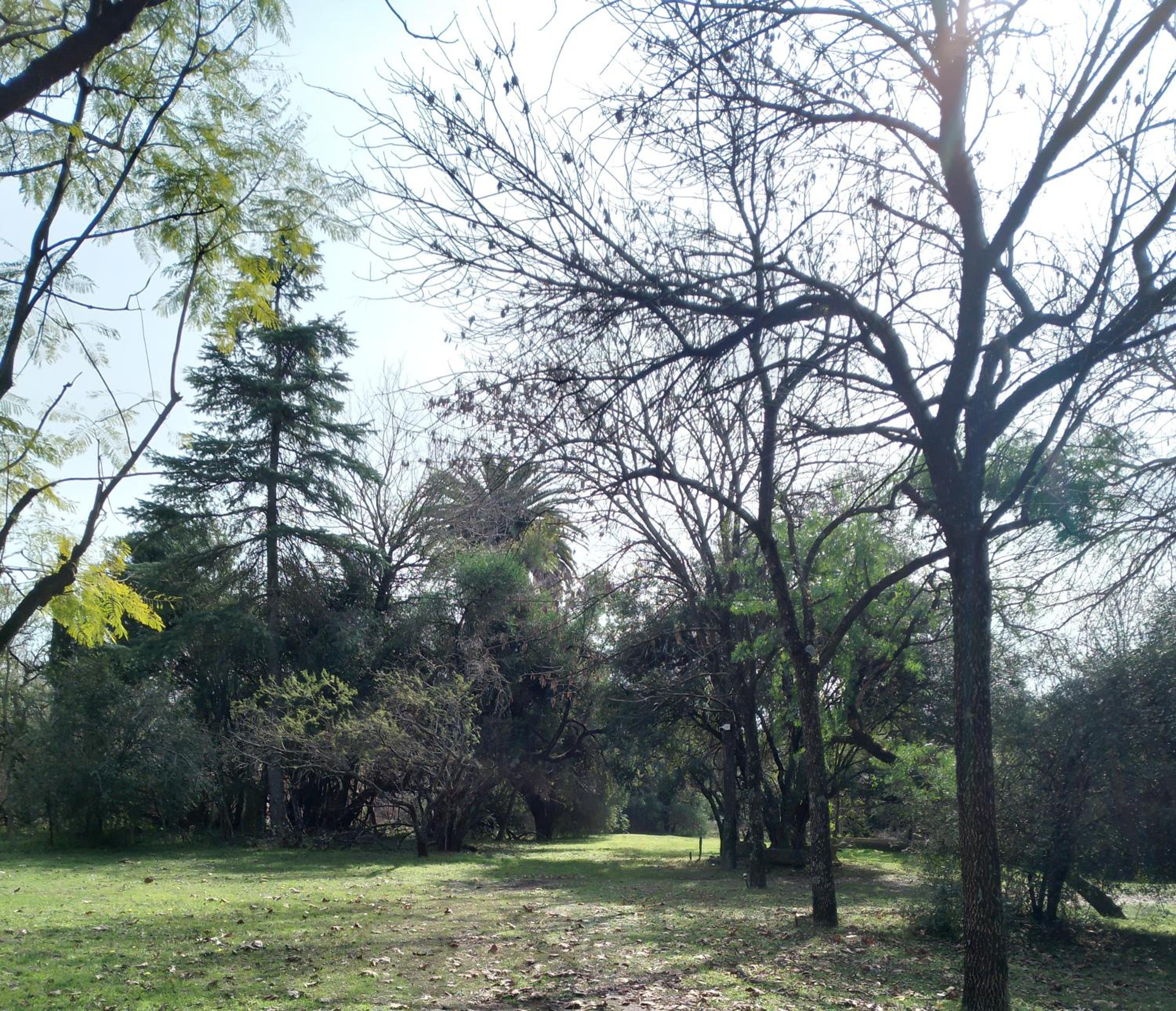 CASA-BOSQUE-ARROYO
