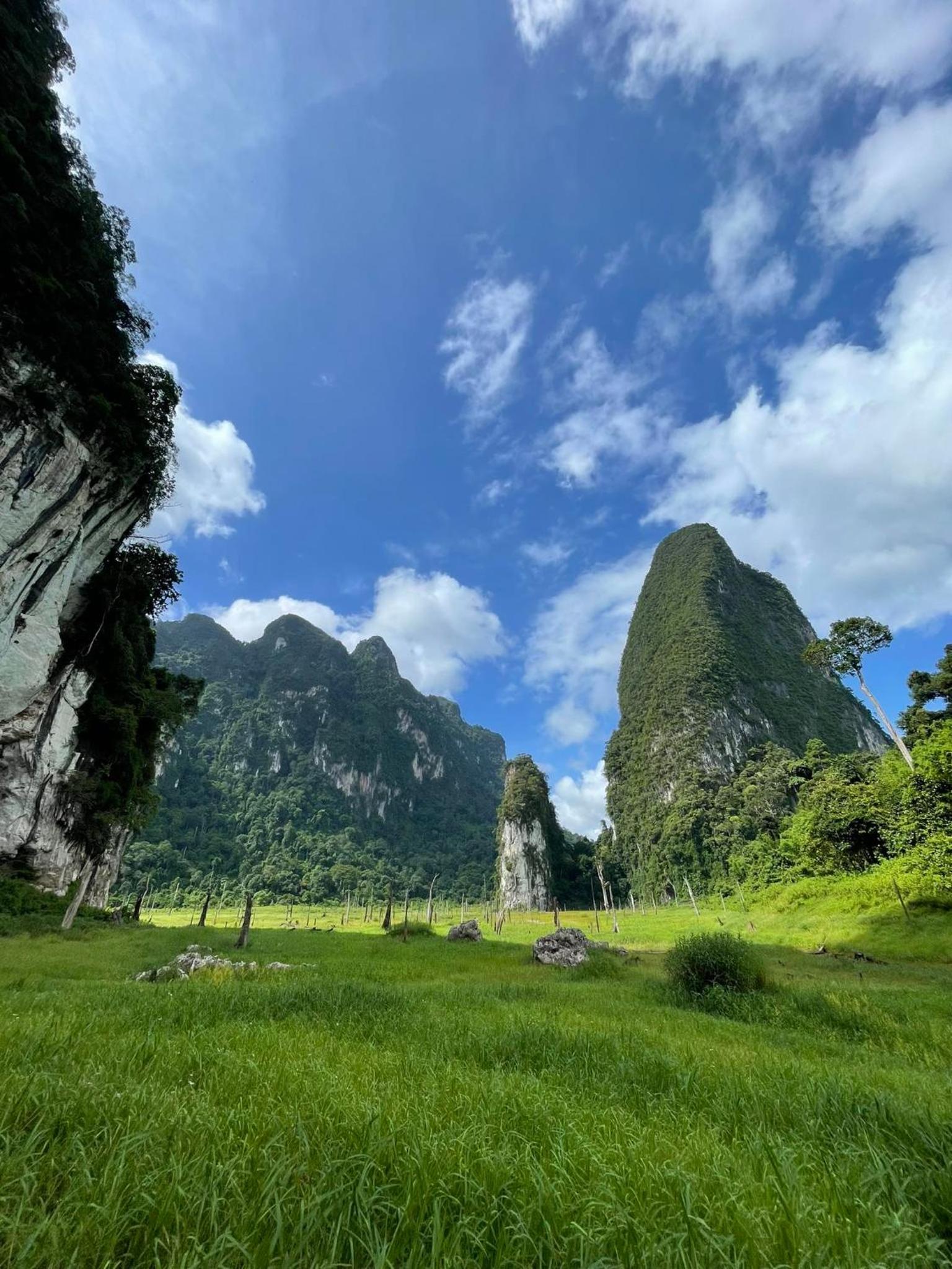 Khao Sok Green Mountain View
