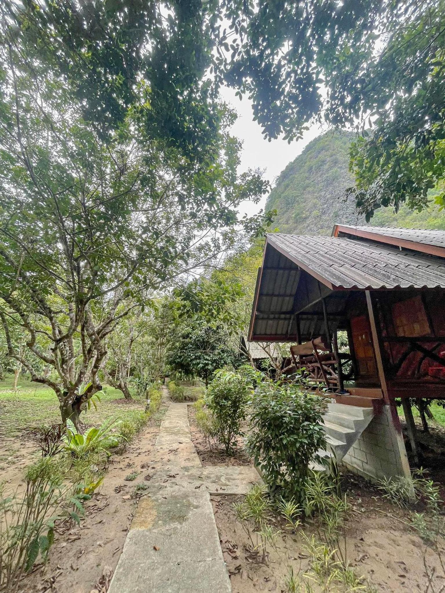 Khao Sok Green Mountain View