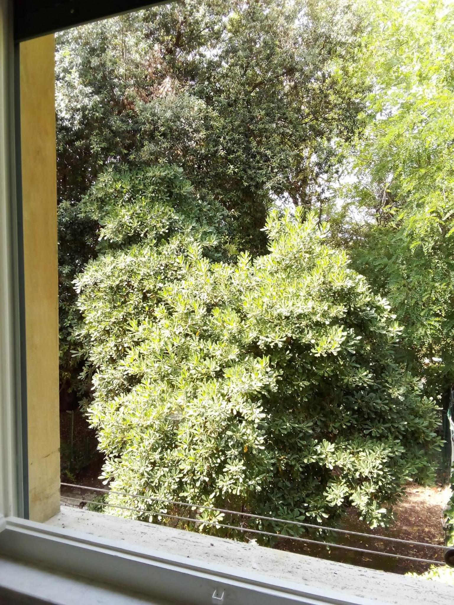 Casa Felci - Spacious Apartment Near The Beach in Tirrenia