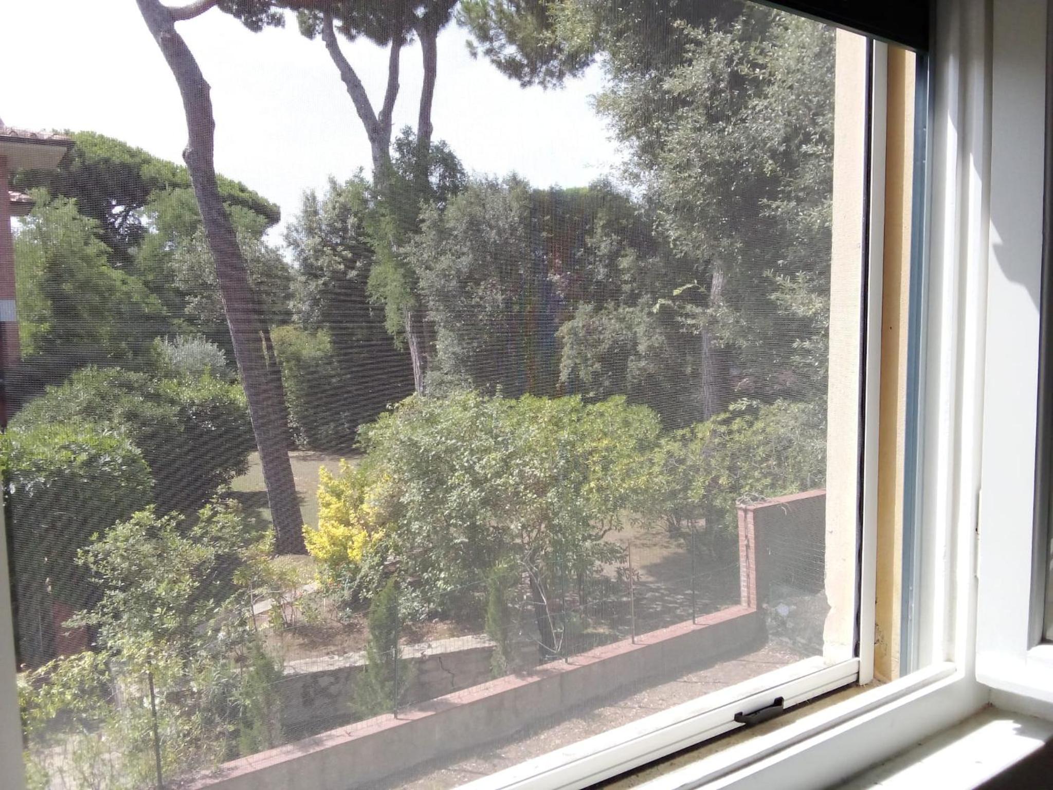 Casa Felci - Spacious Apartment Near The Beach in Tirrenia