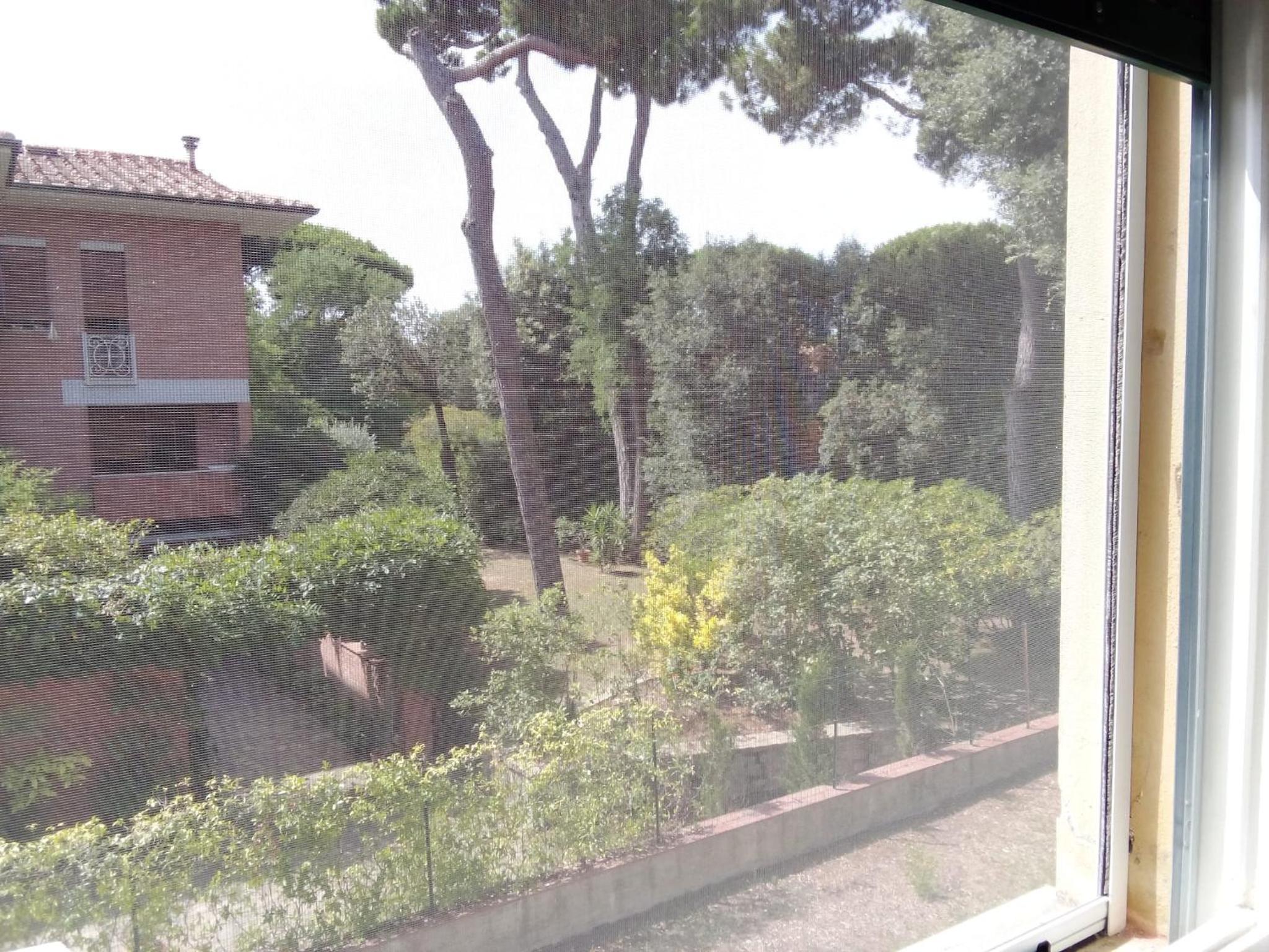 Casa Felci - Spacious Apartment Near The Beach in Tirrenia