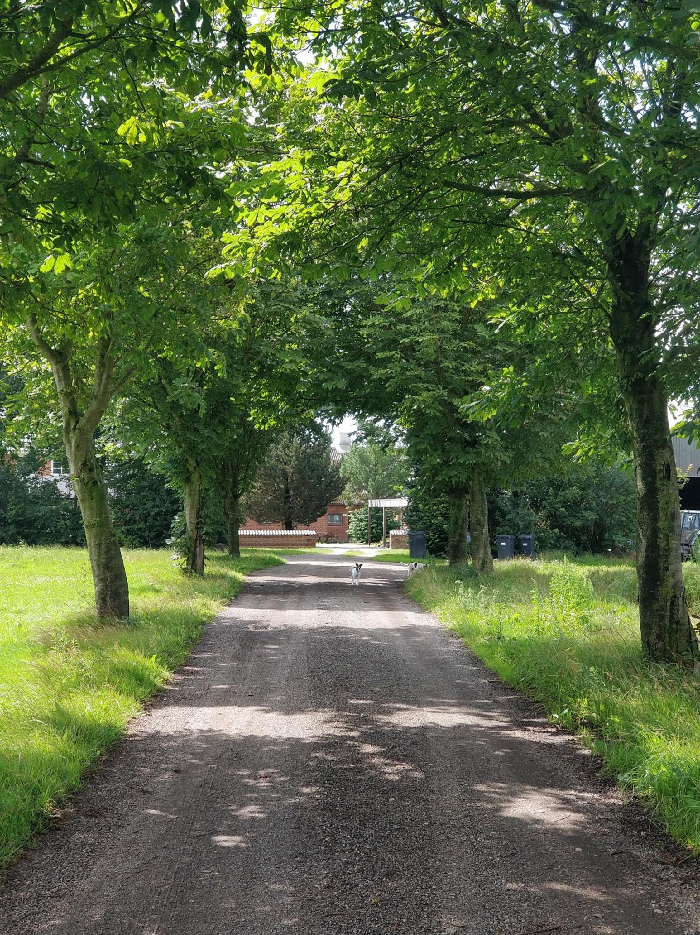 Kristinebjerg