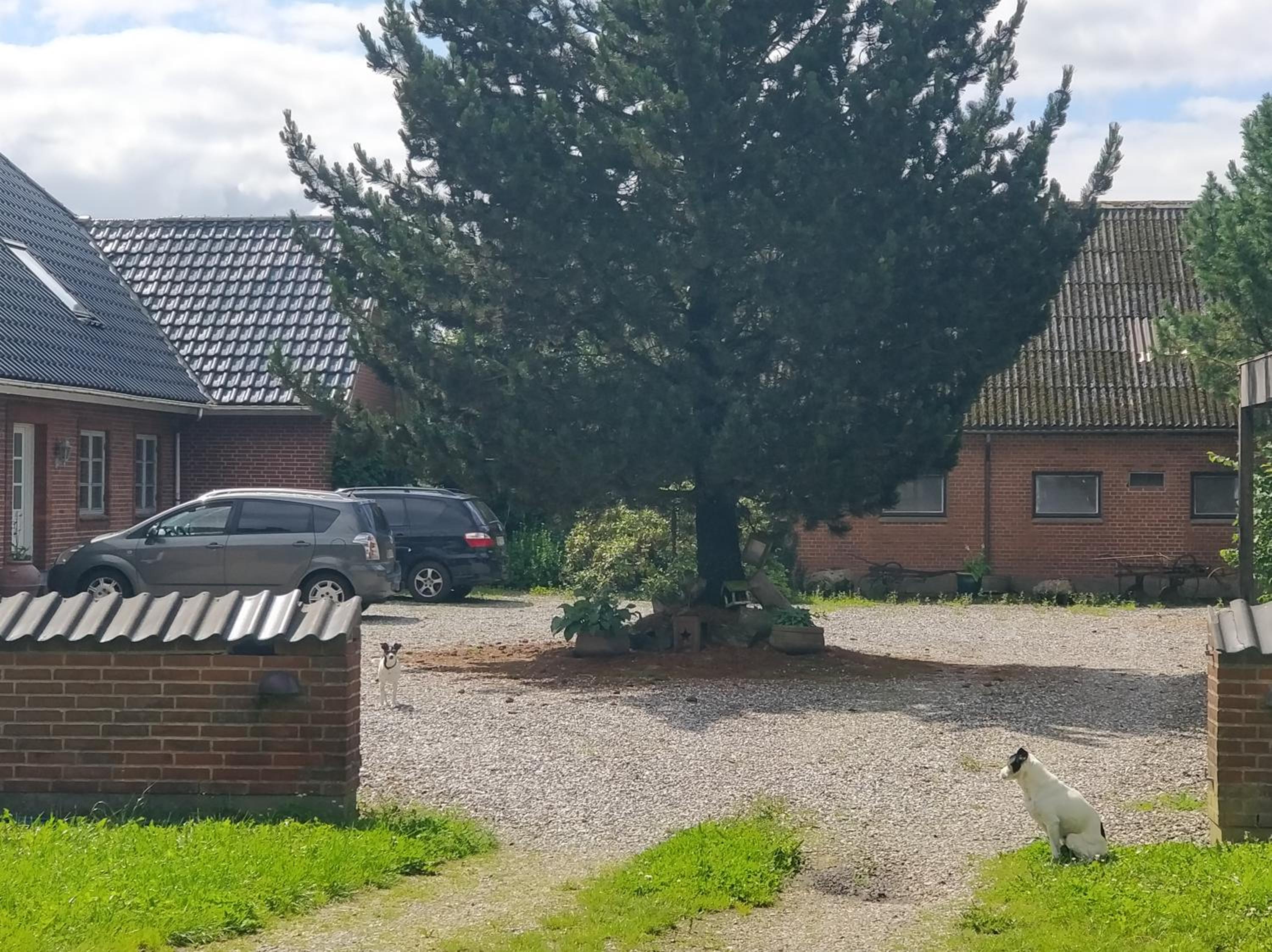 Kristinebjerg