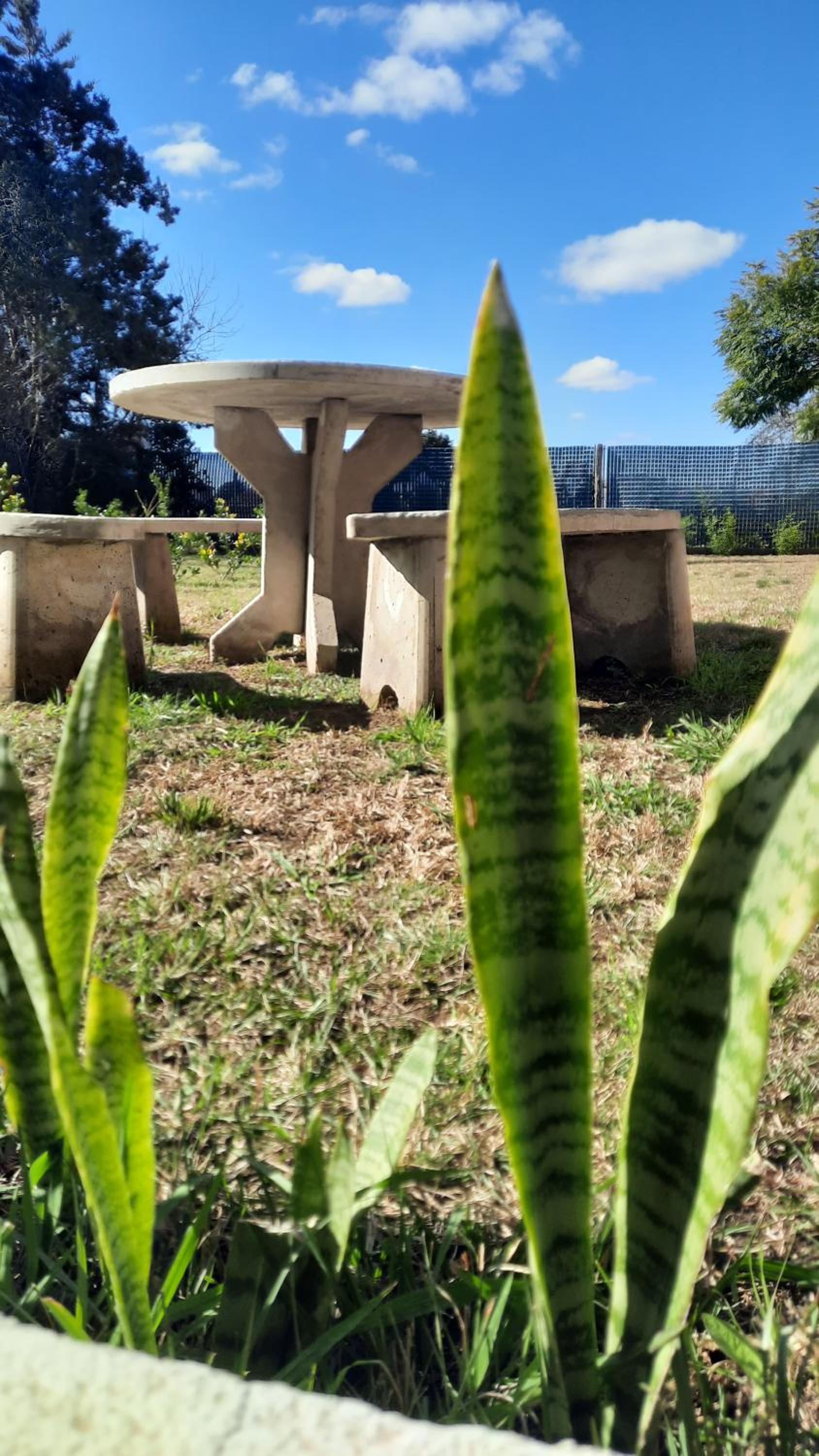 Lacus. Casas de lago.