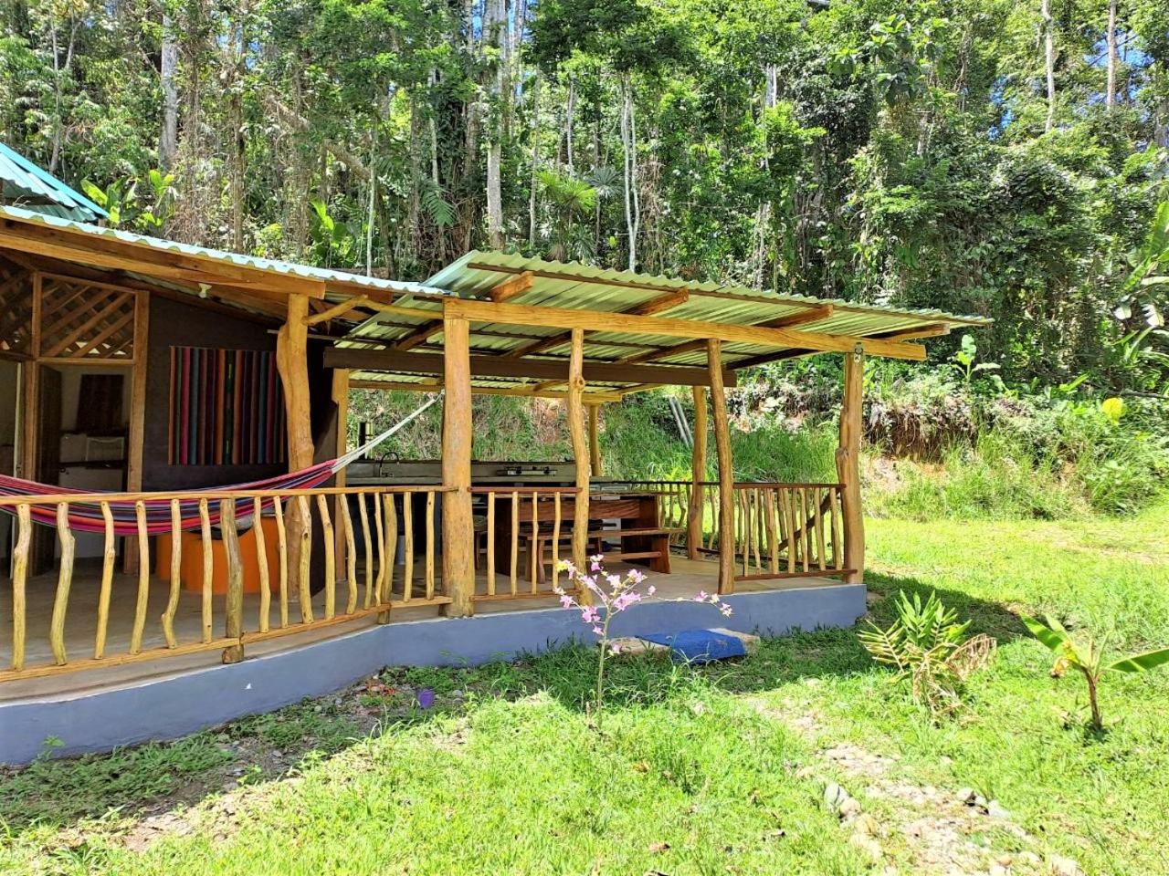 Terra NaturaMa - off grid living in the jungle