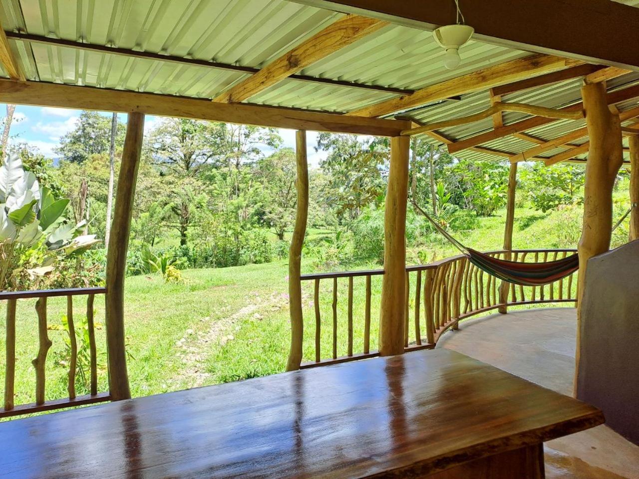Terra NaturaMa - off grid living in the jungle