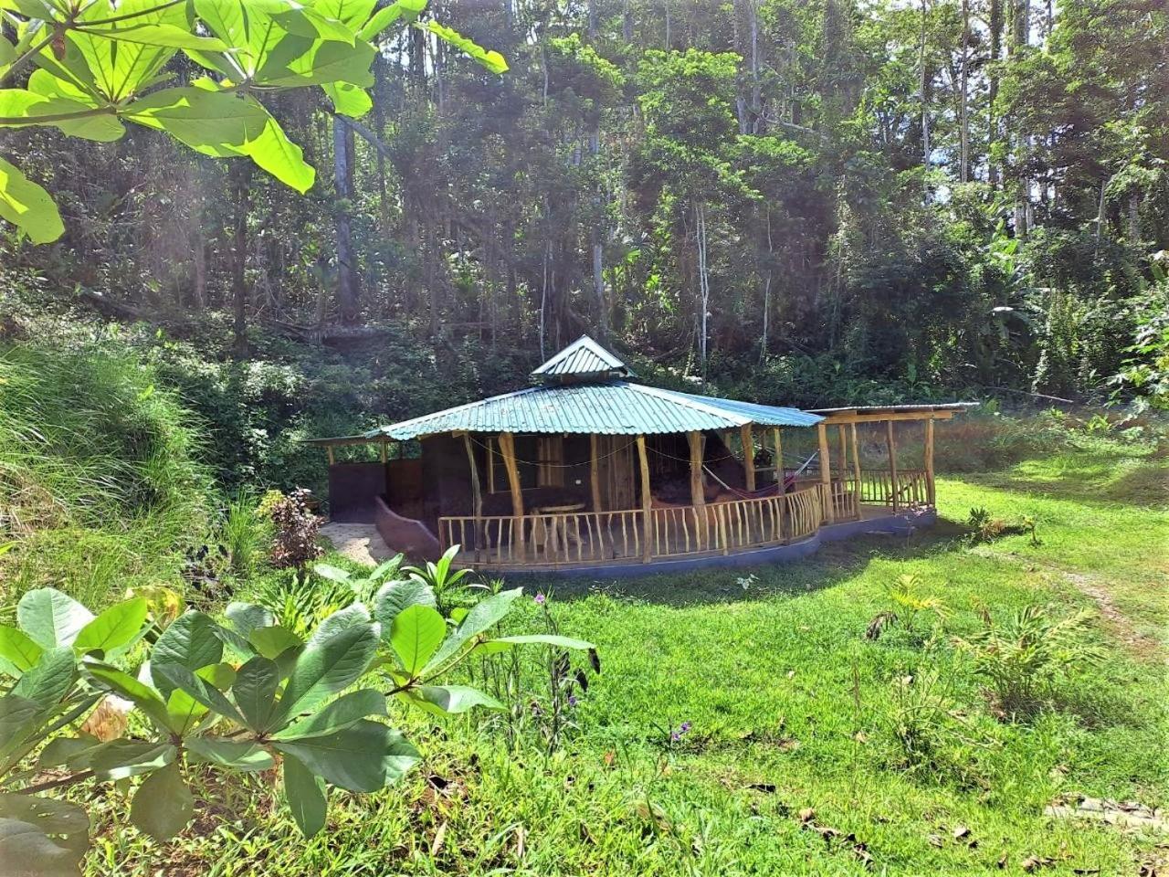 Terra NaturaMa - off grid living in the jungle