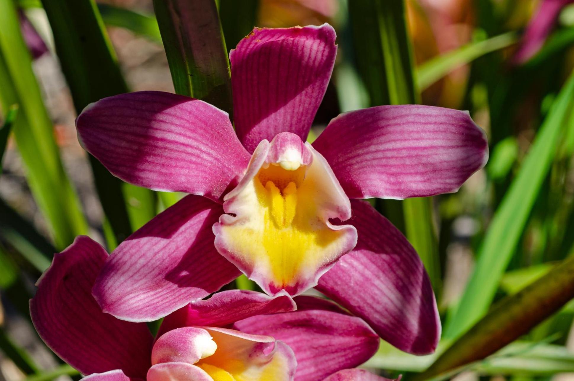 Chalé Flores e Amores