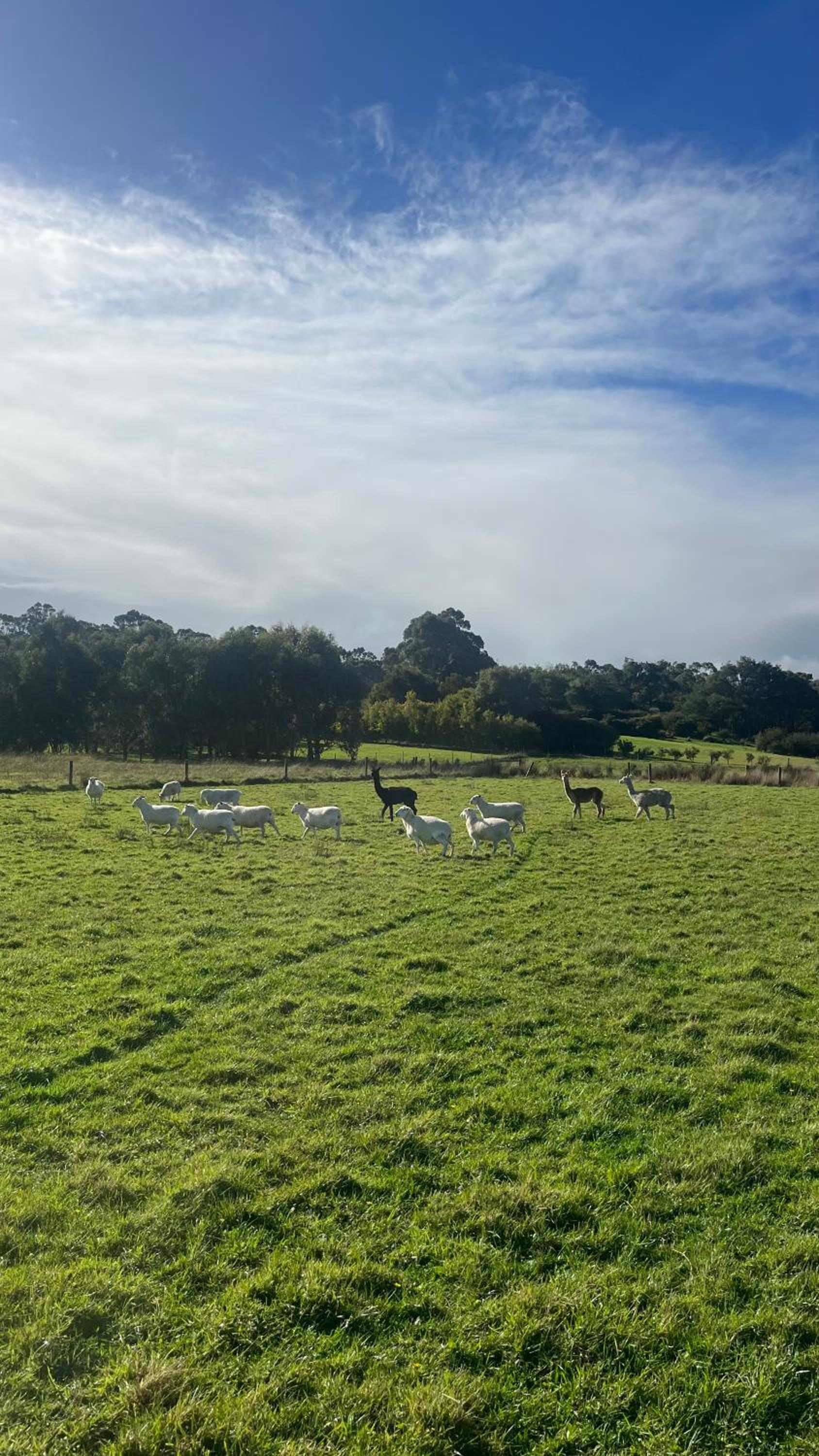 LG&B Family Farm House