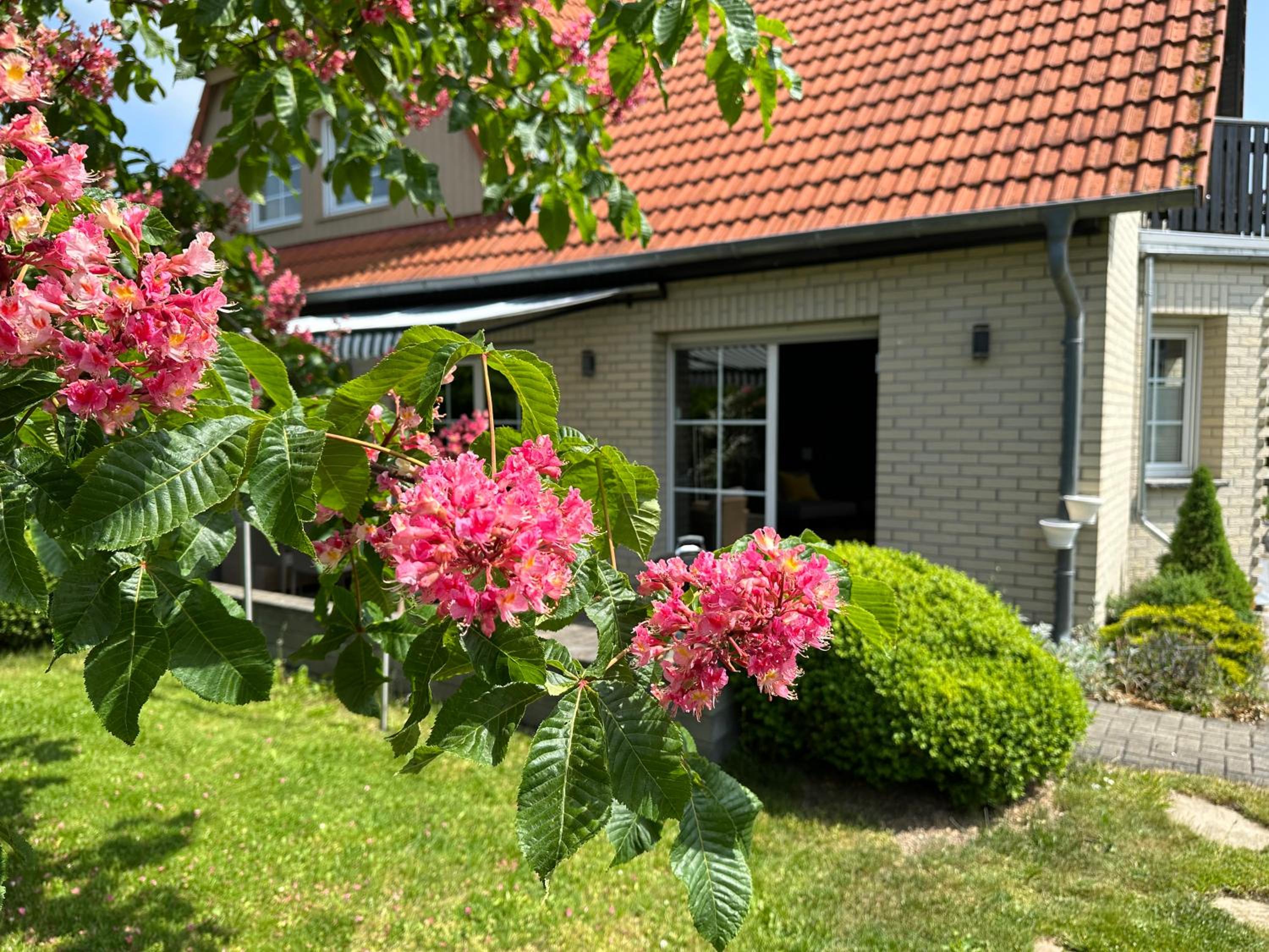 Familienurlaub im Grünen