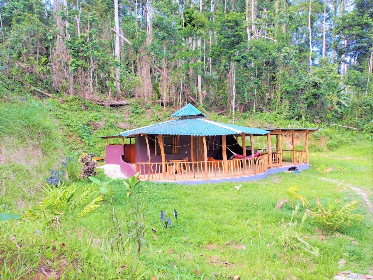 Terra NaturaMa - off grid living in the jungle