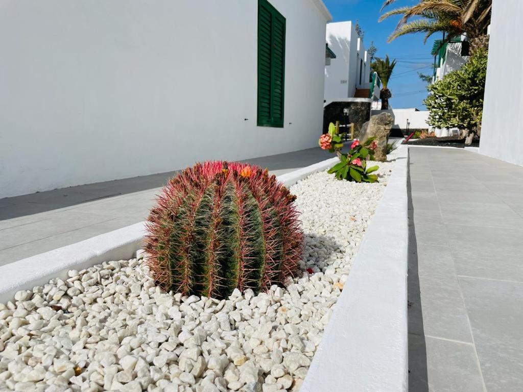 Casa Adelfa