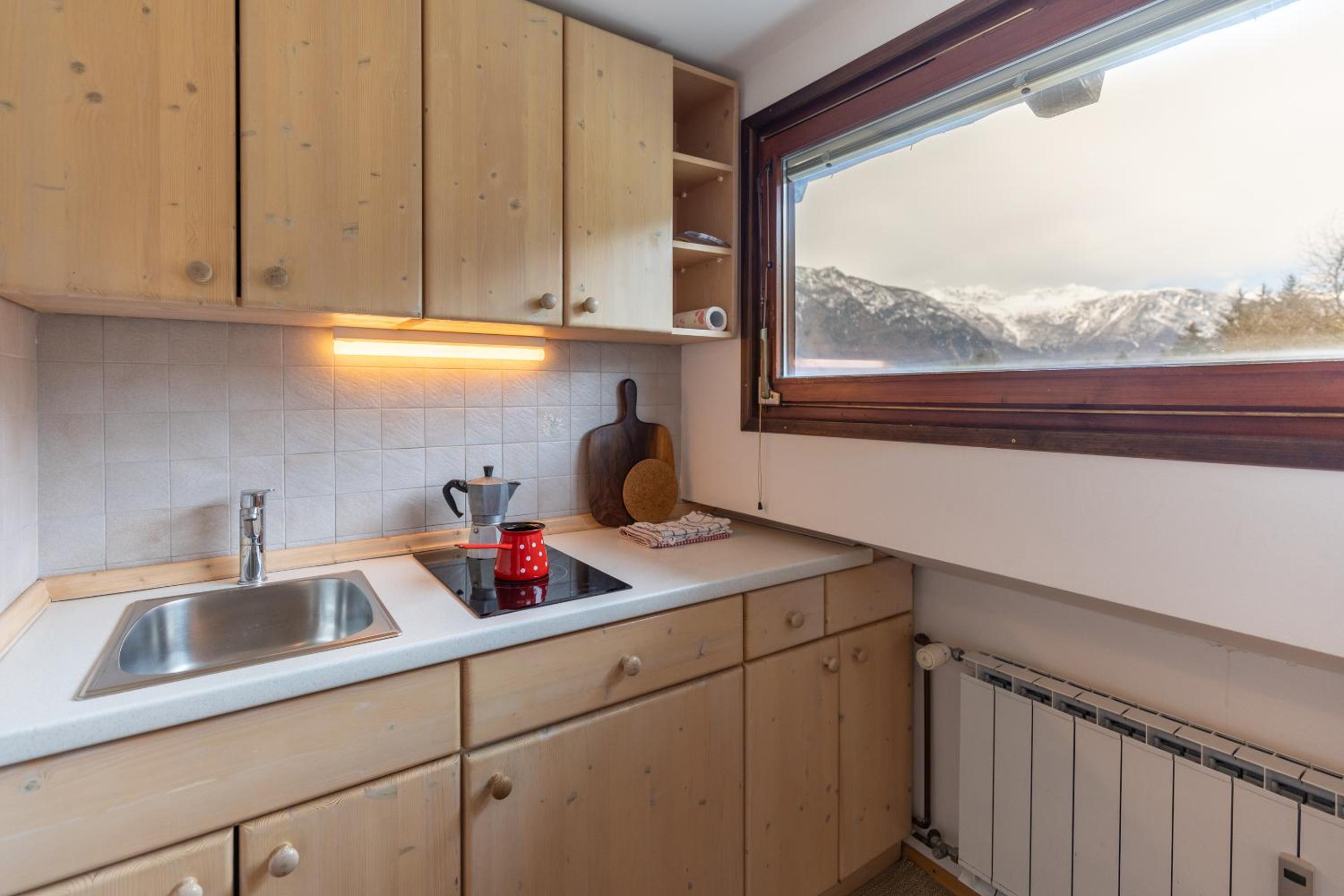 Apartment Planika