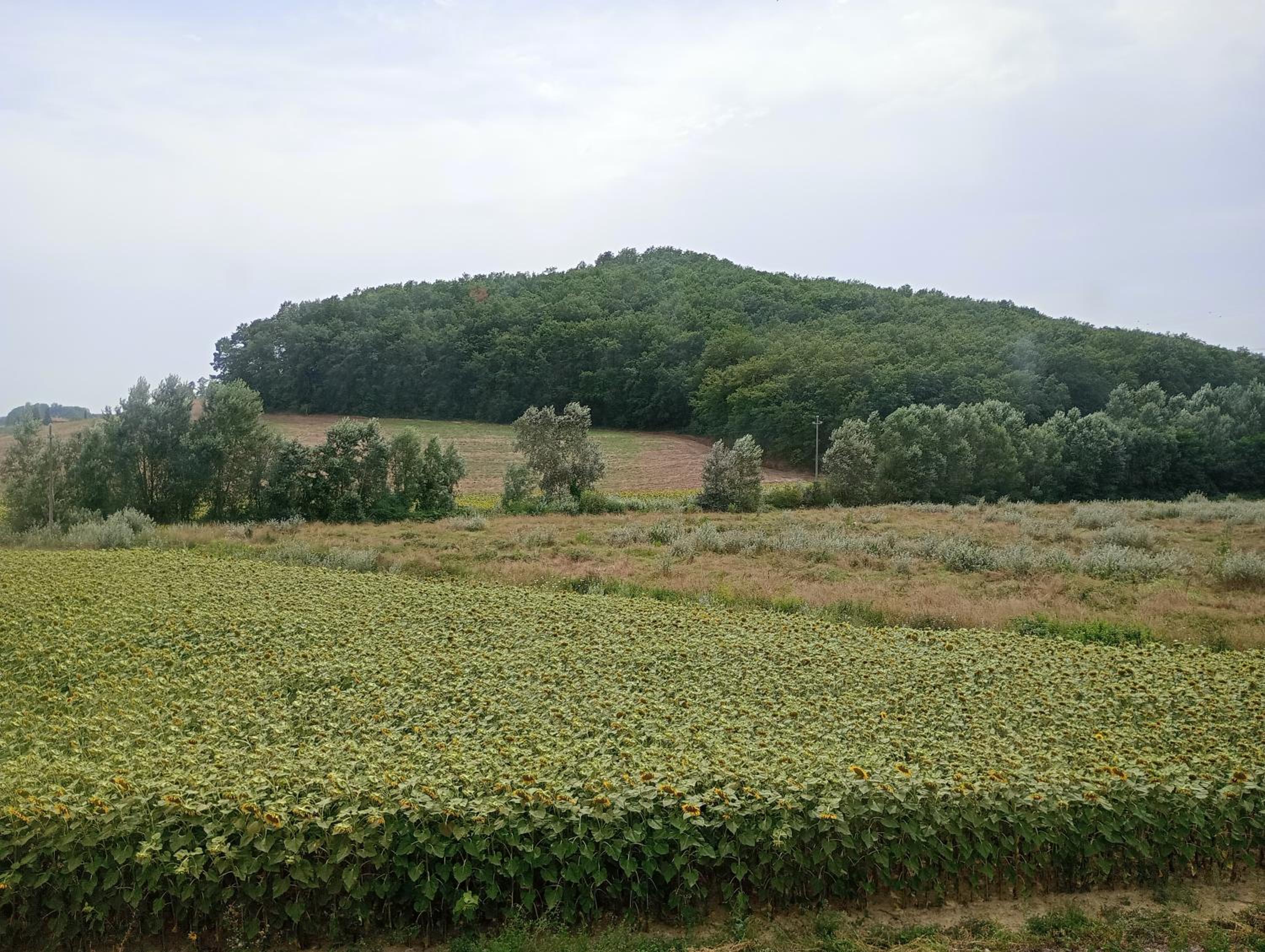 La Casa Rossa