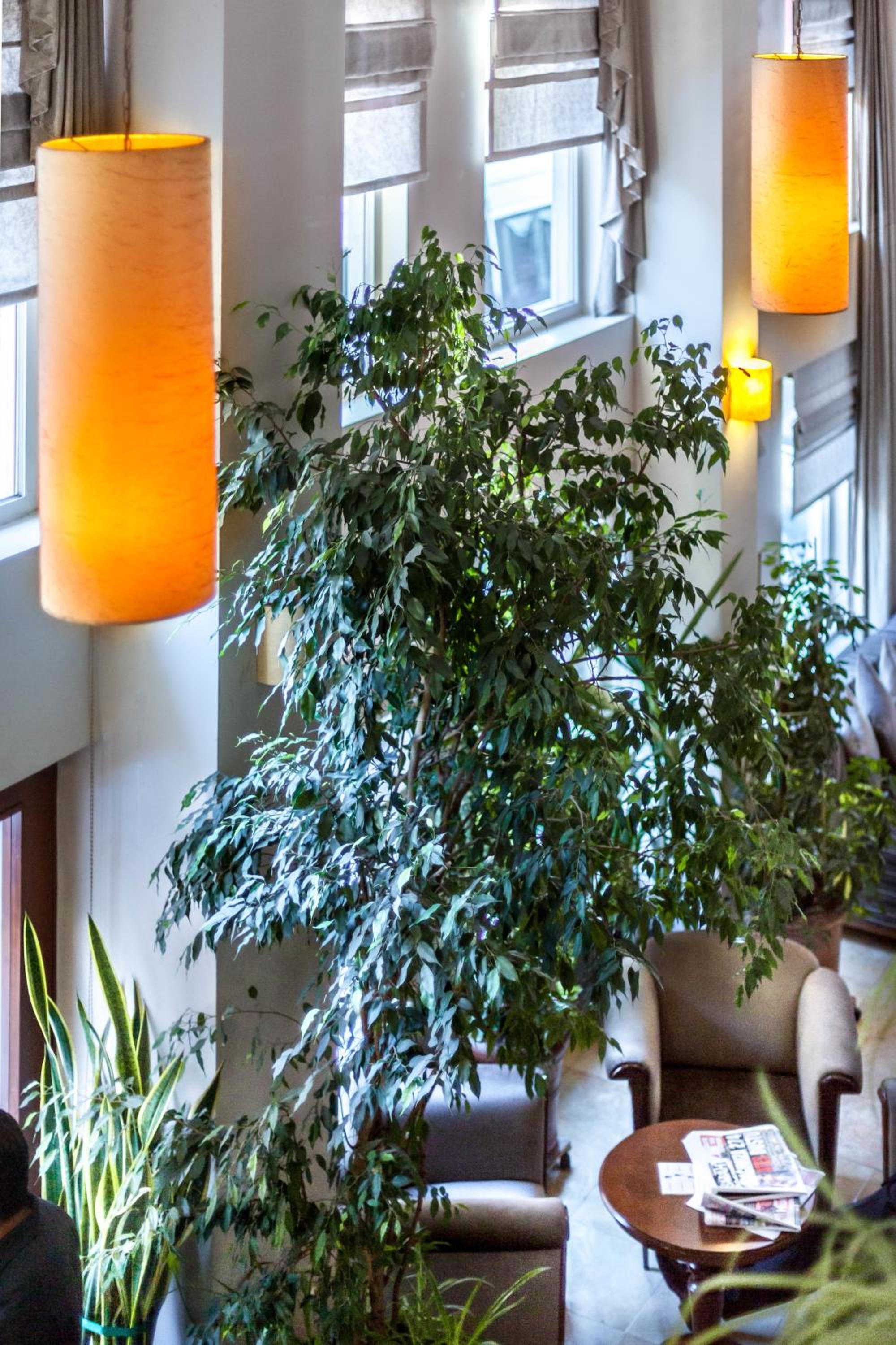 Sude Konak - Image 51