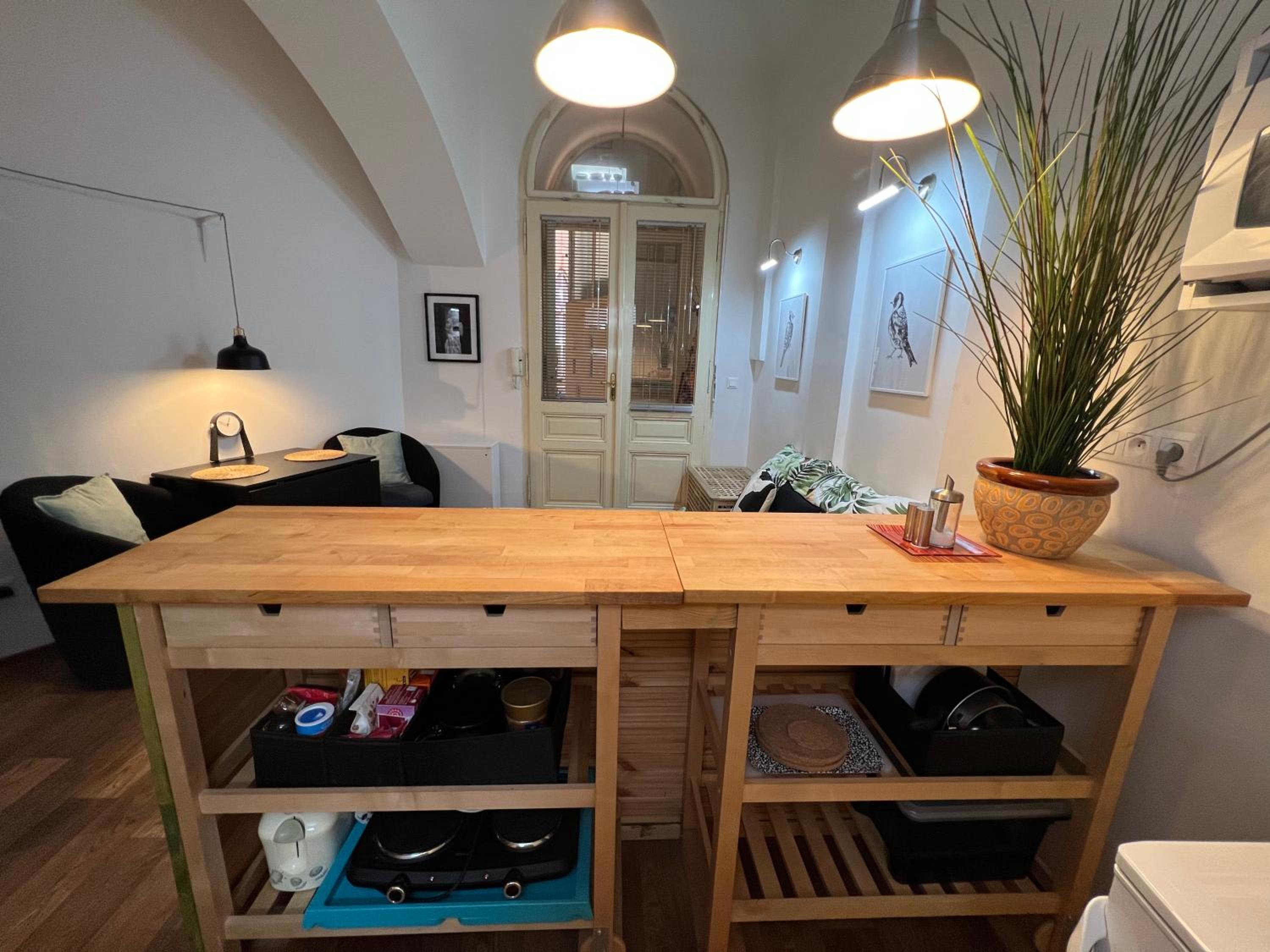 Fun Tiki Vibe Apartment / Charles Bridge / Netflix