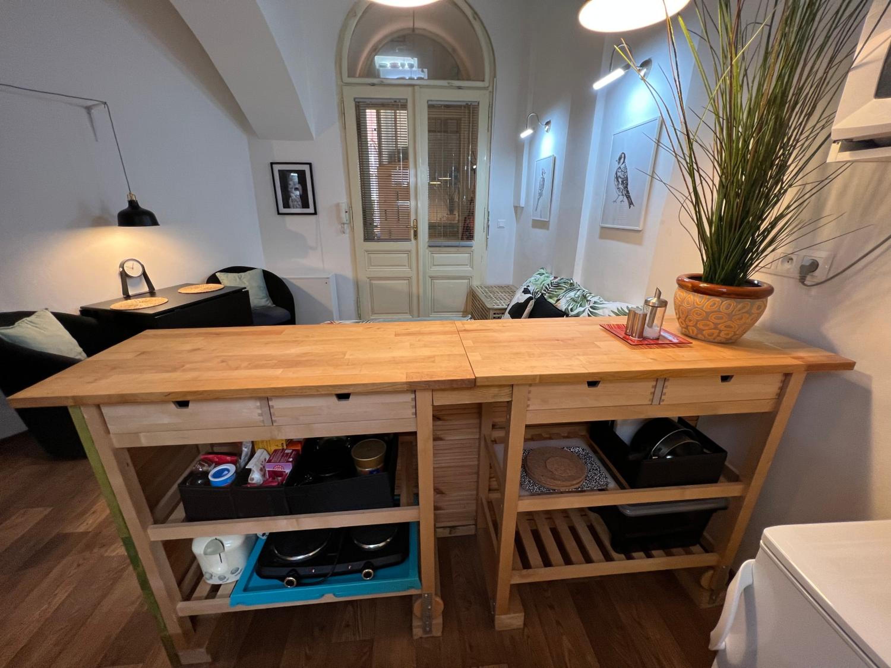 Fun Tiki Vibe Apartment / Charles Bridge / Netflix