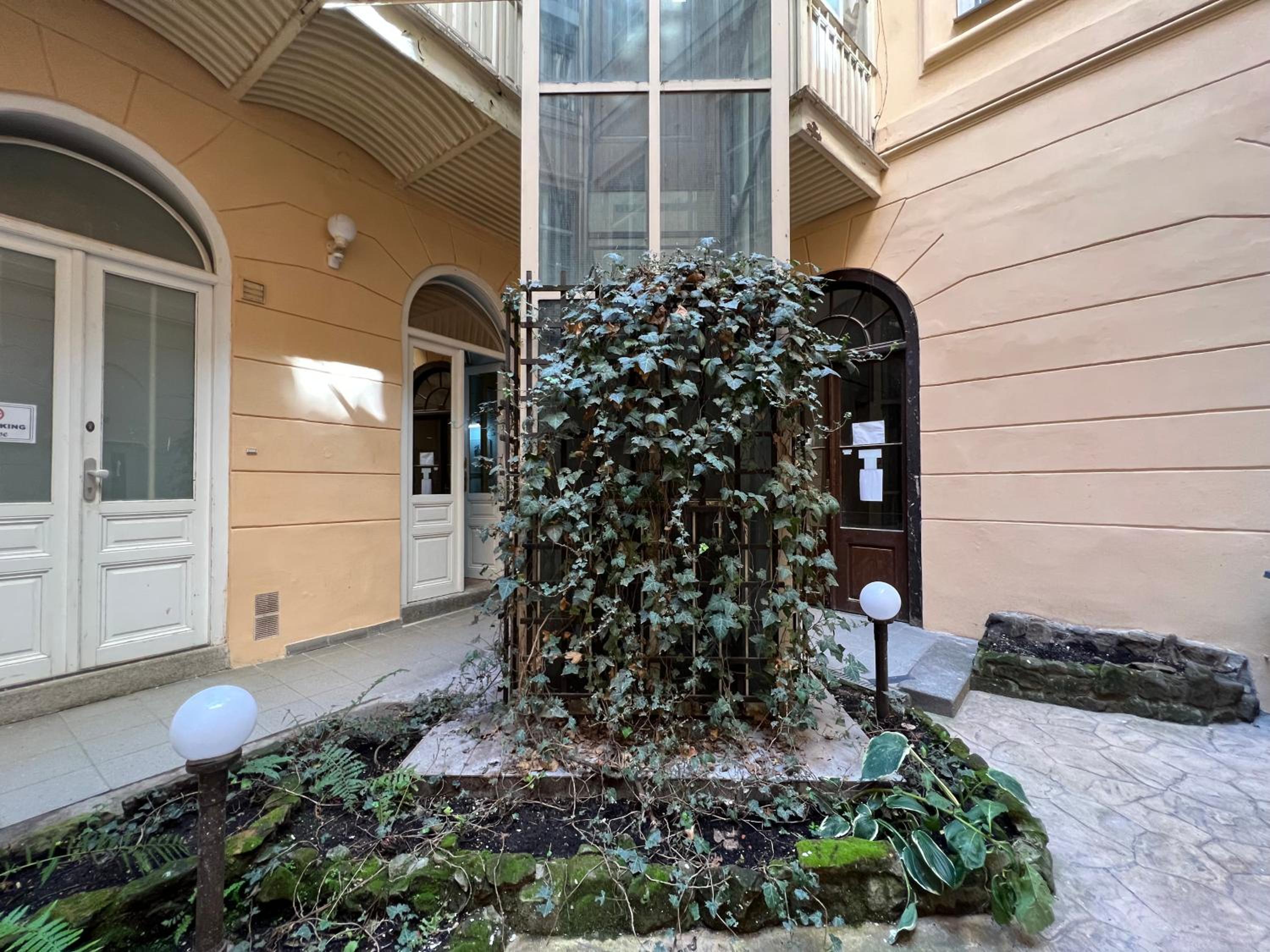 Fun Tiki Vibe Apartment / Charles Bridge / Netflix