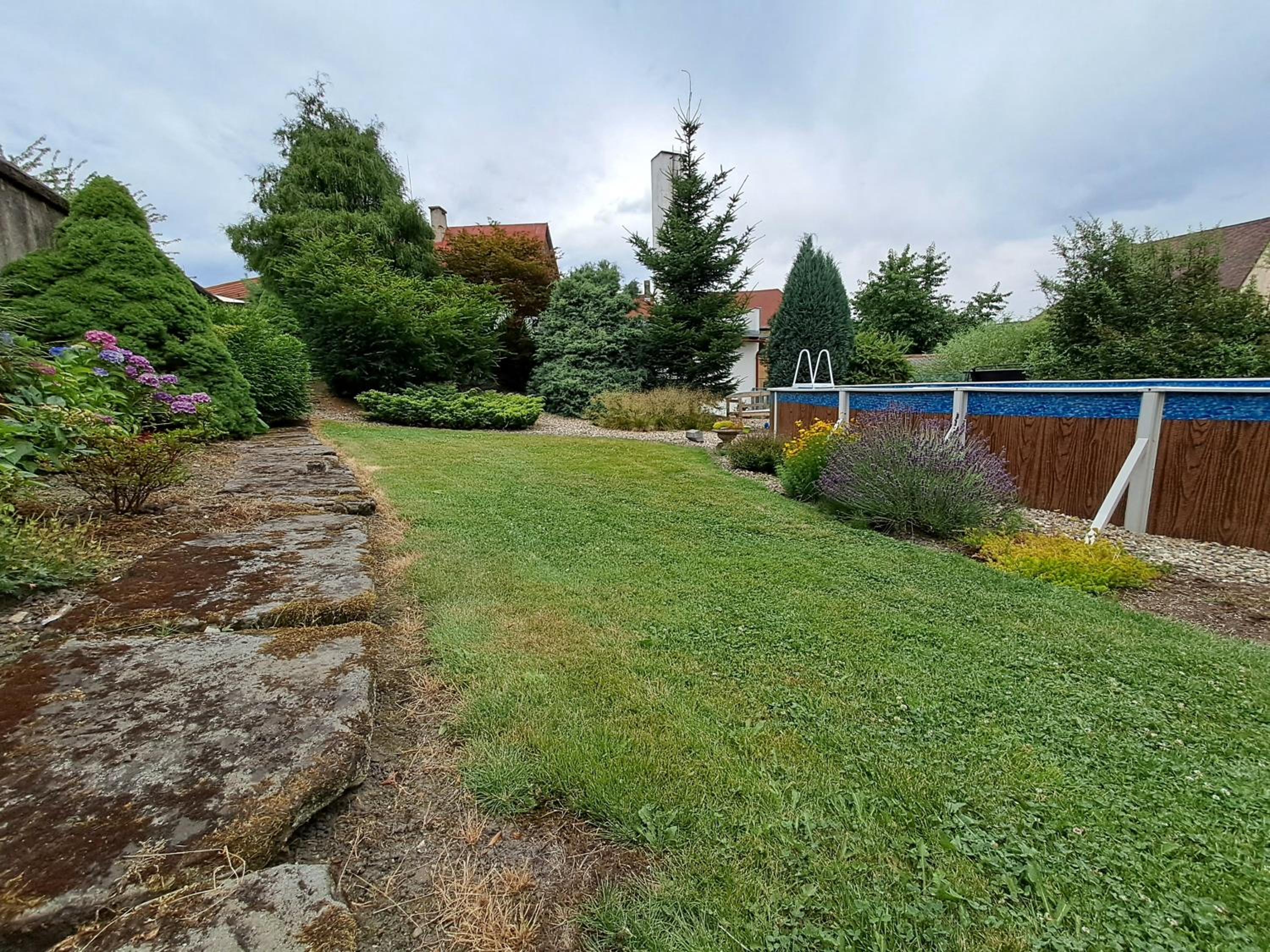 Kamélie, photo 16