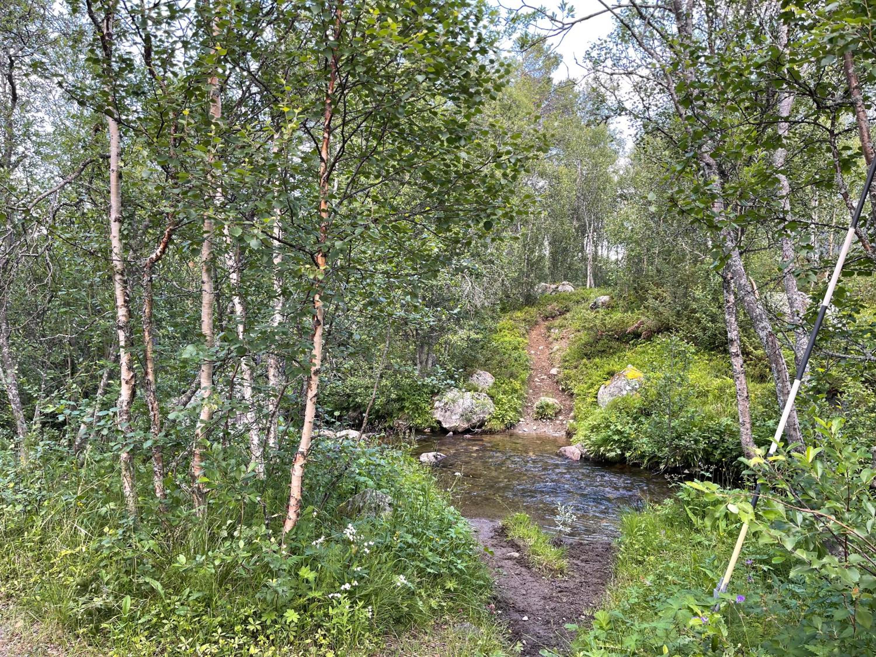 Photo 7