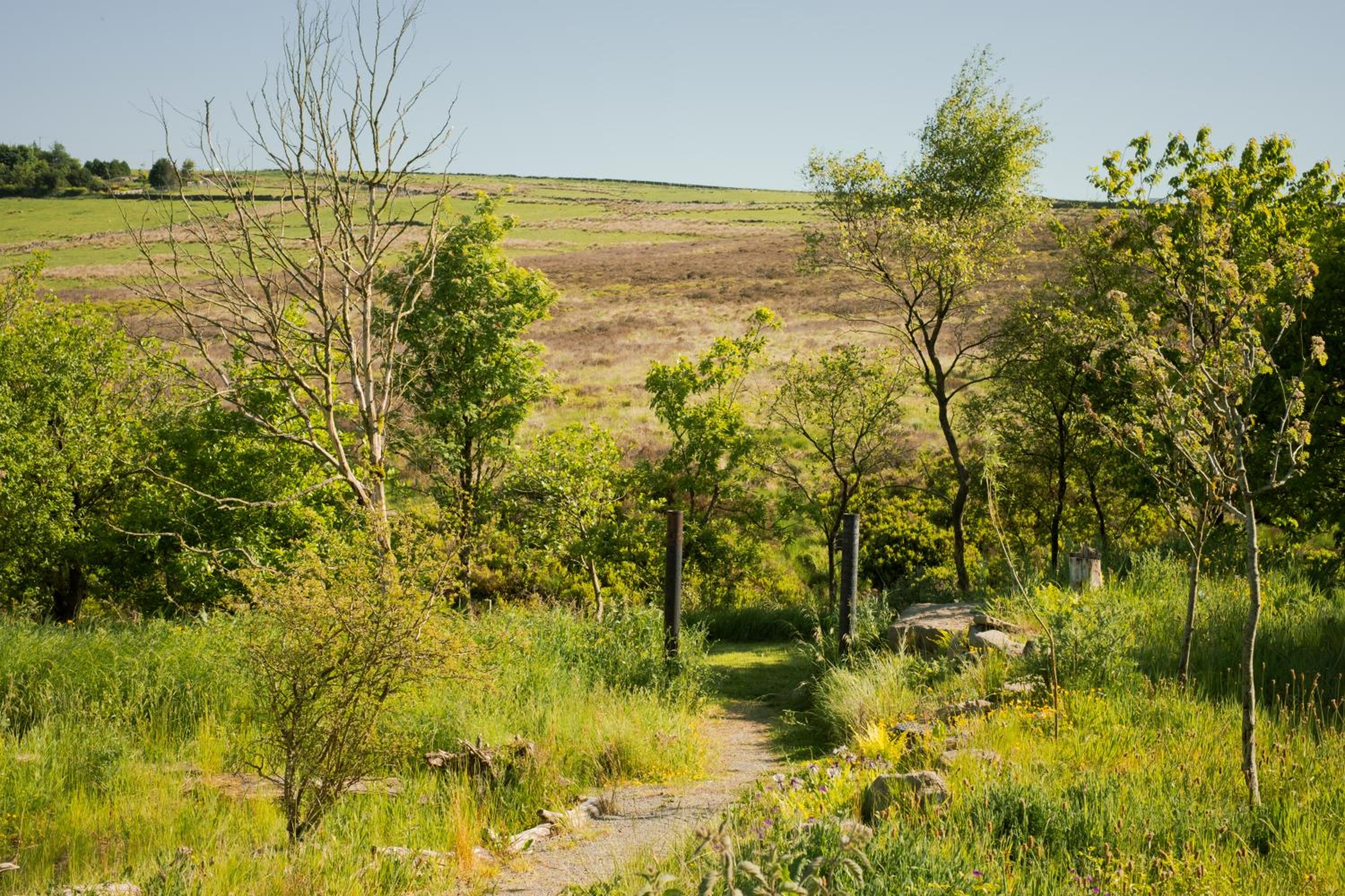 Daisy Bank Camp view 5