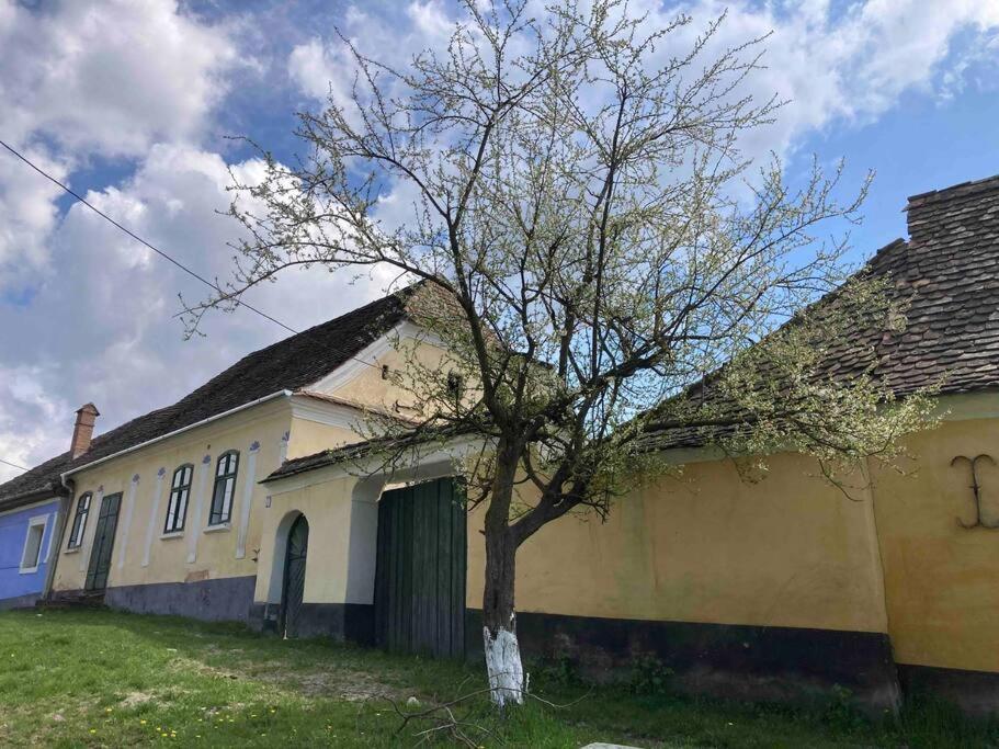 Photo 38
