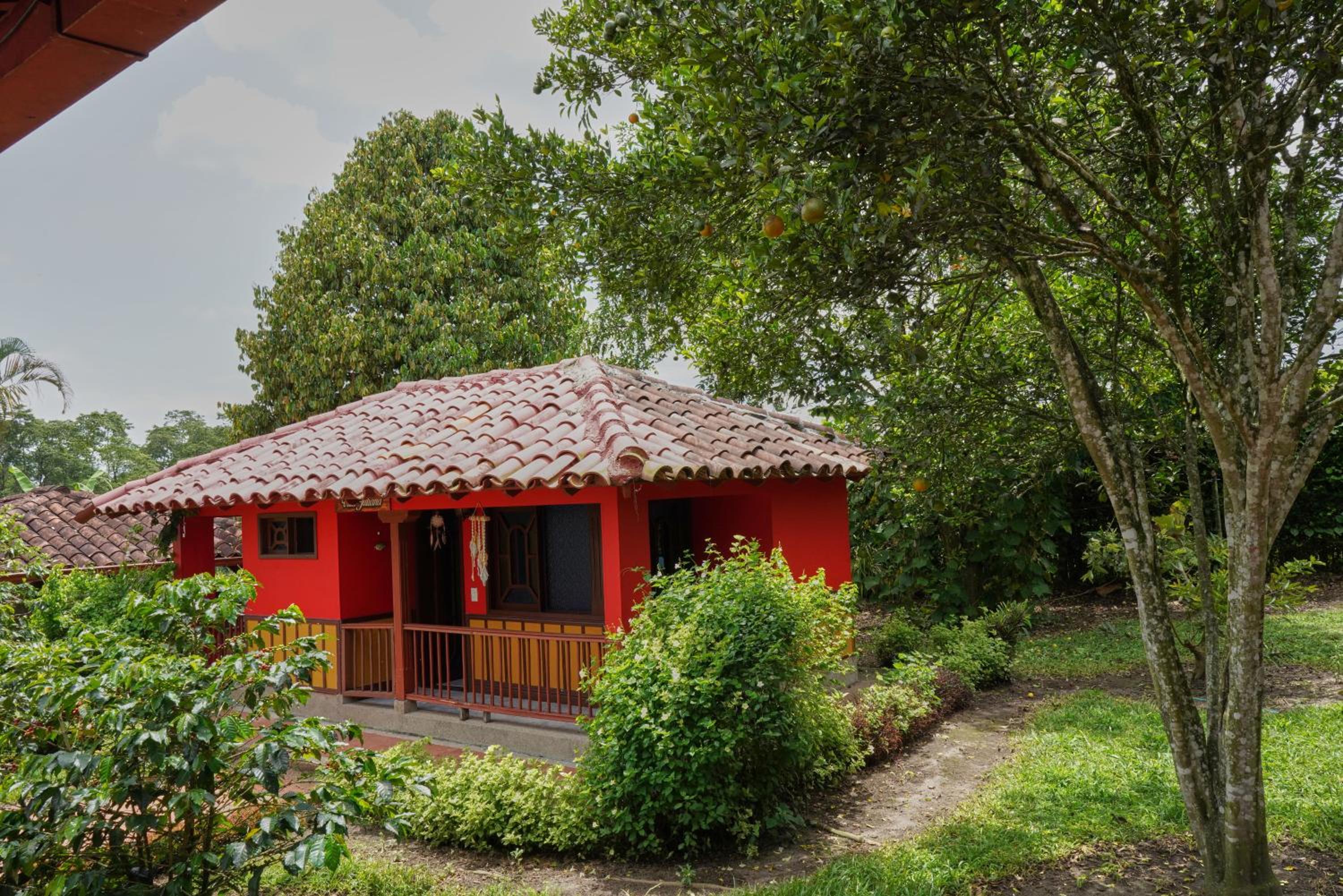 FINCA EL PATRIARCA