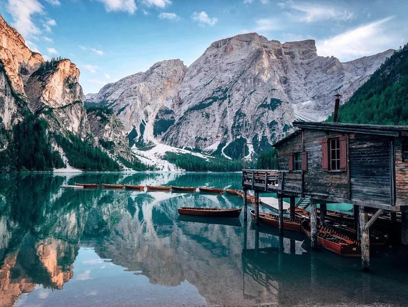 stella alpina photo 4