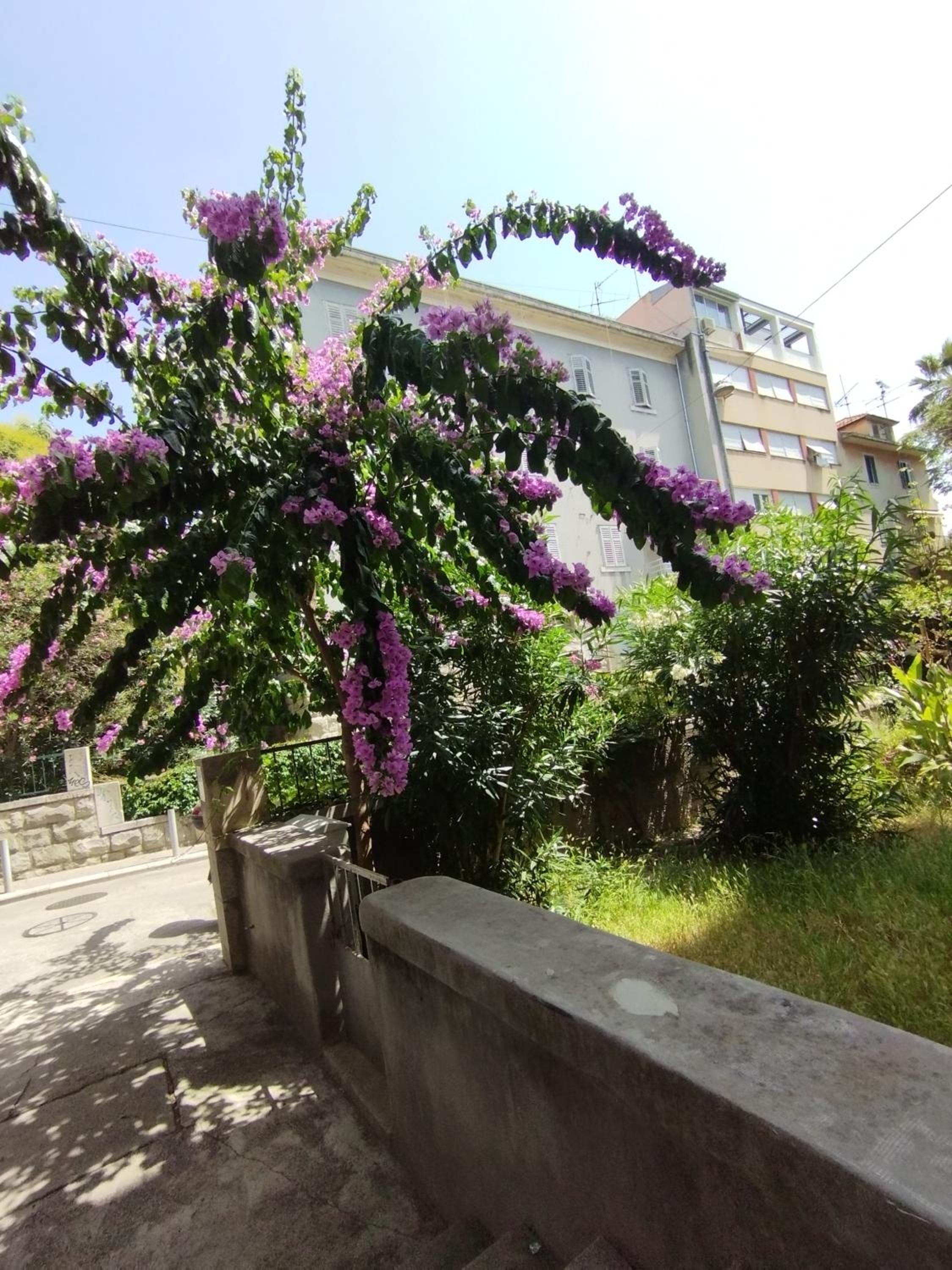Bugenvilija apartment