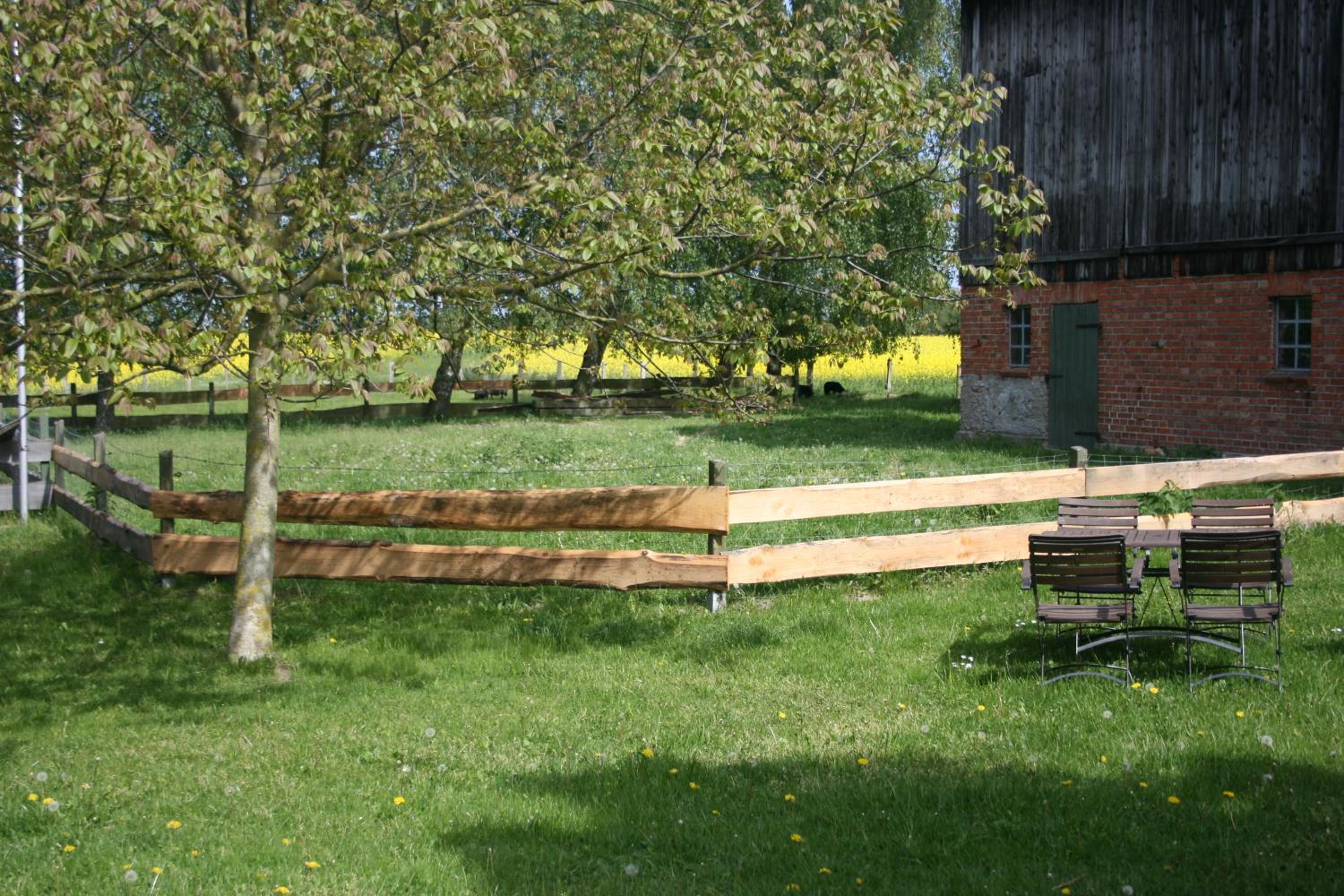 Photo 42